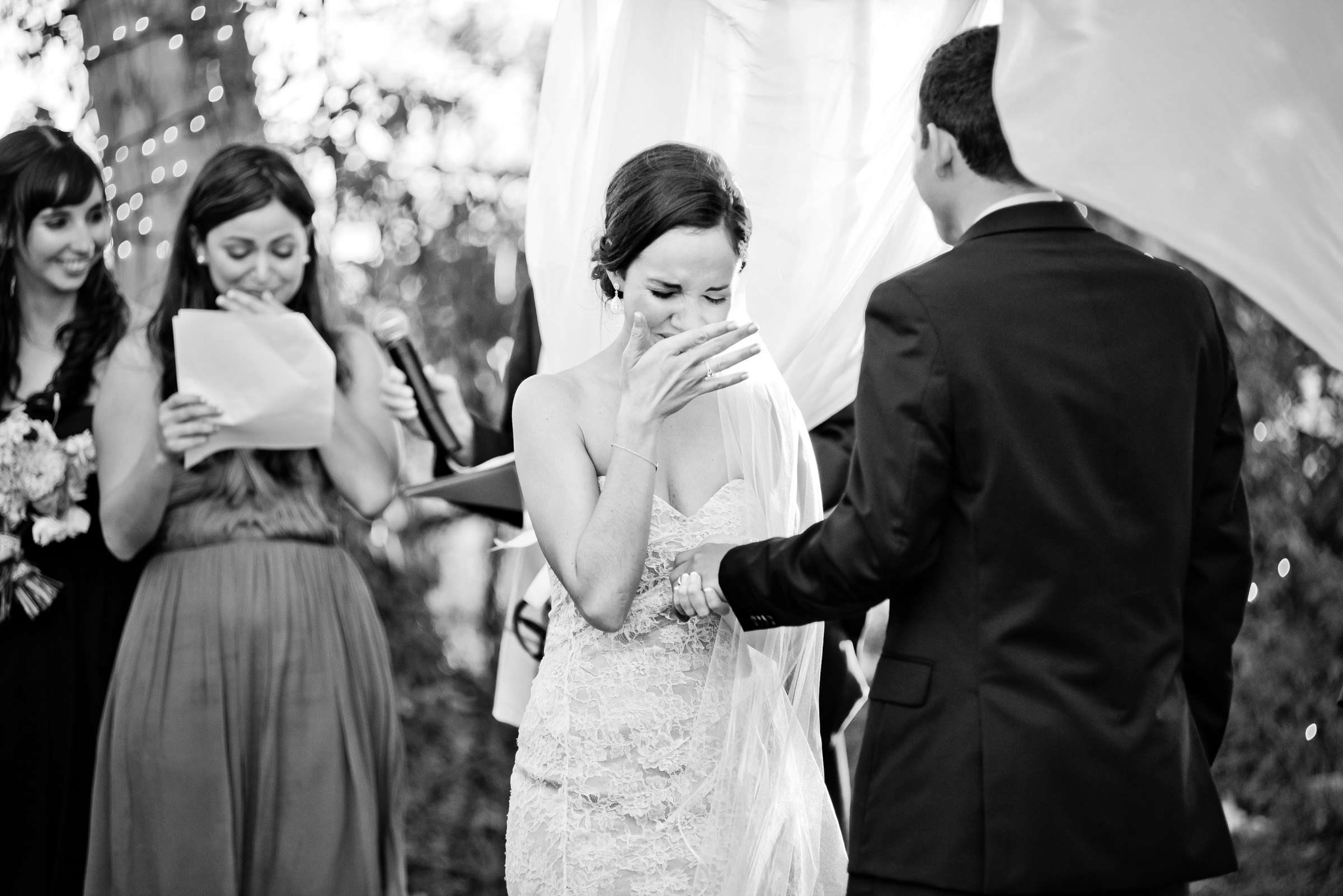 Falkner Winery Wedding coordinated by Storybook Weddings & Events, Daniella and Matthew Wedding Photo #325263 by True Photography