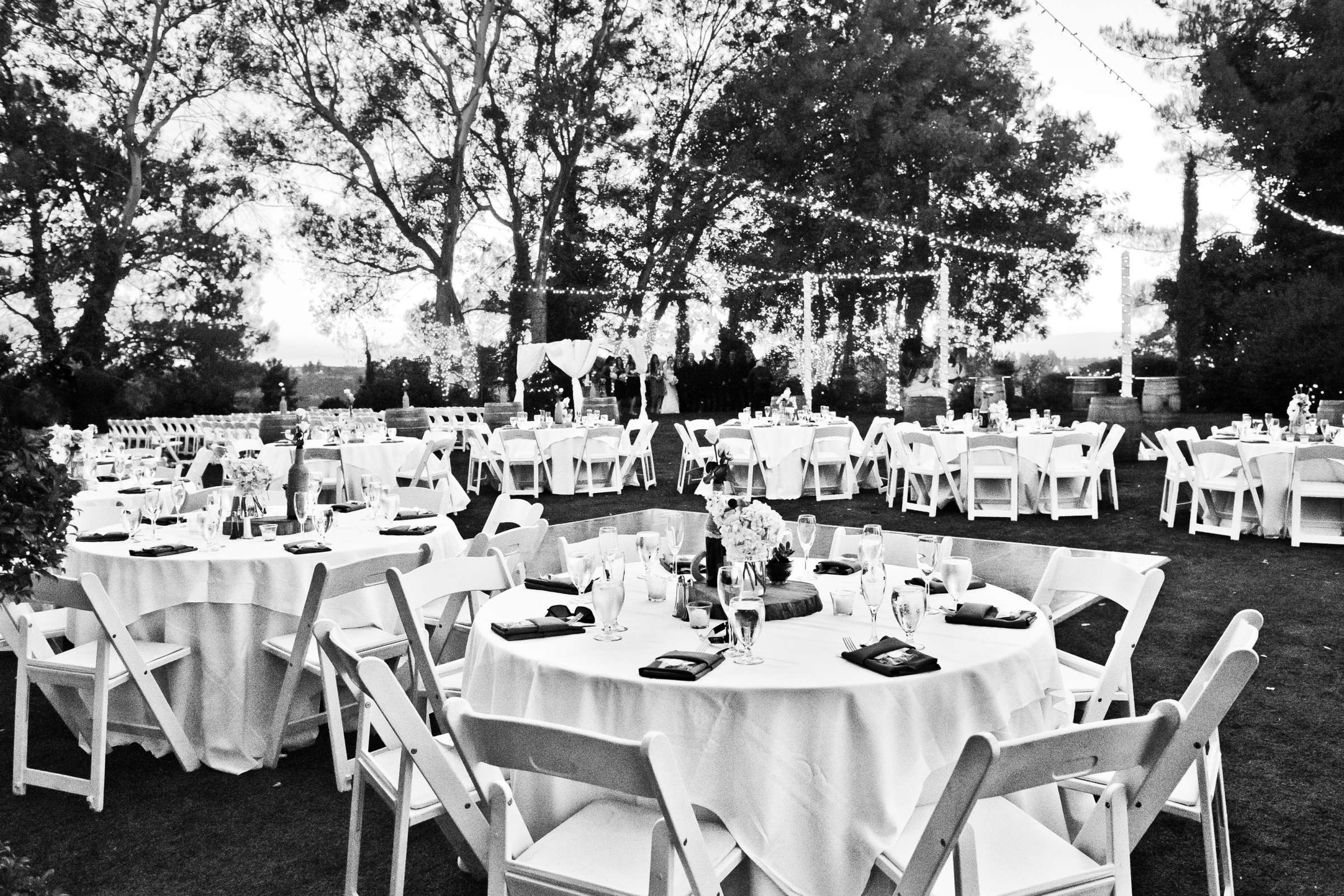Falkner Winery Wedding coordinated by Storybook Weddings & Events, Daniella and Matthew Wedding Photo #325271 by True Photography