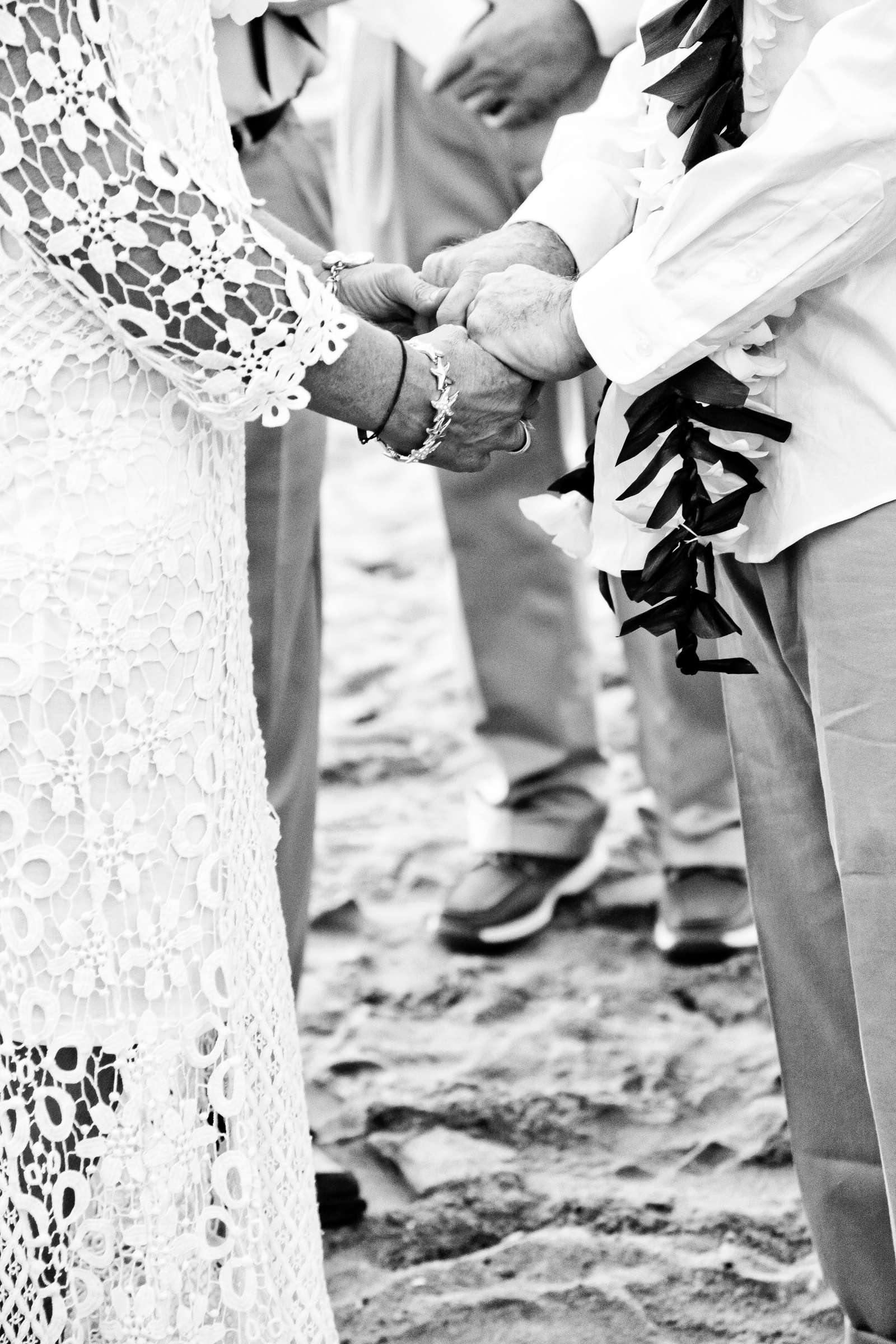 Wedding, Ava and Jordan Wedding Photo #326080 by True Photography