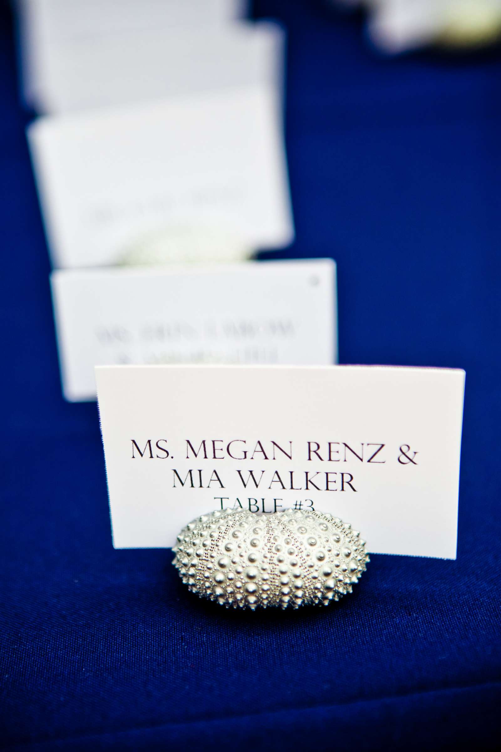 L'Auberge Wedding coordinated by Adele Meehan, Crystal and Michael Wedding Photo #329770 by True Photography