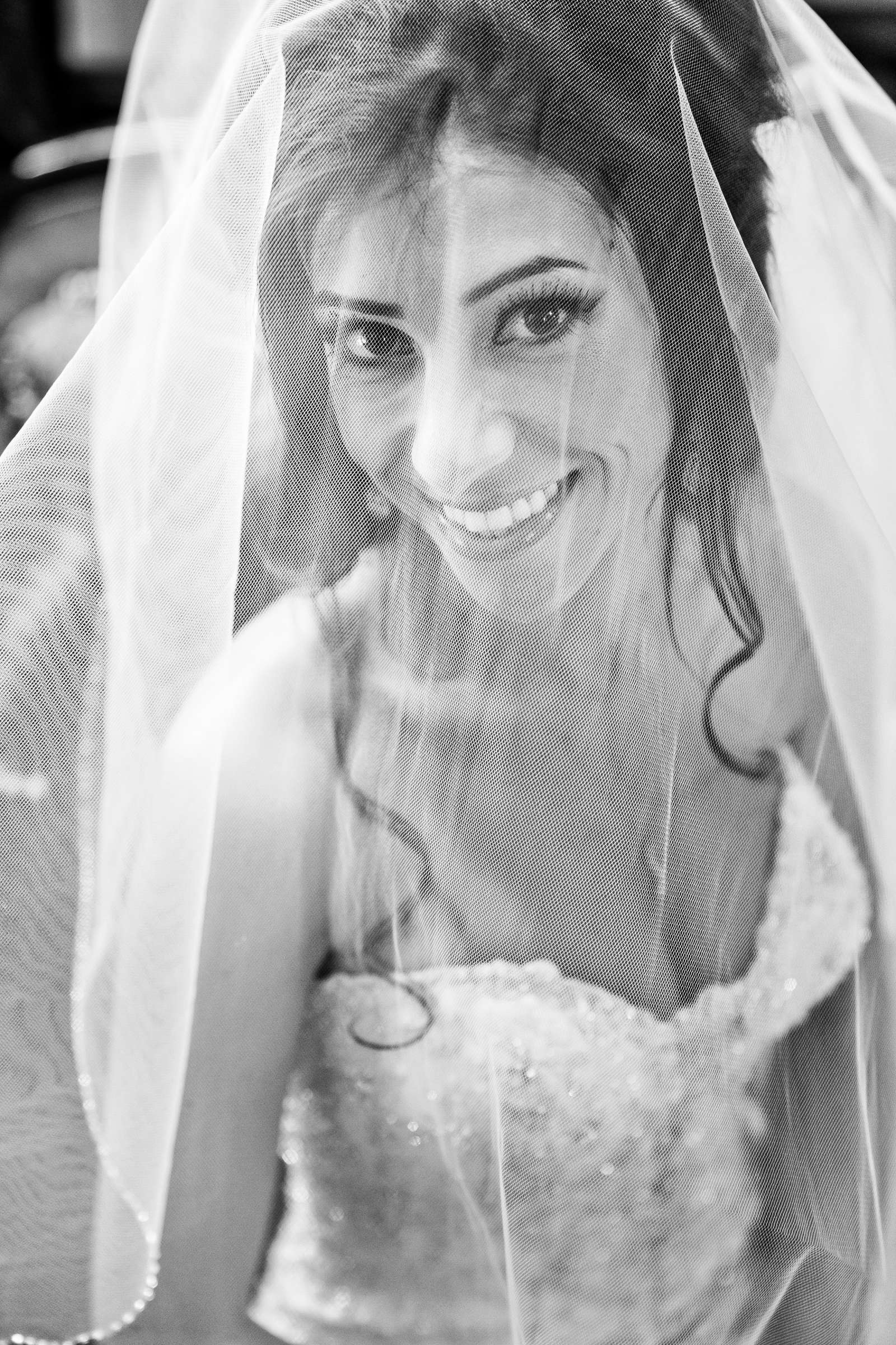 Grand Tradition Estate Wedding, Kristen and Sean Wedding Photo #340302 by True Photography
