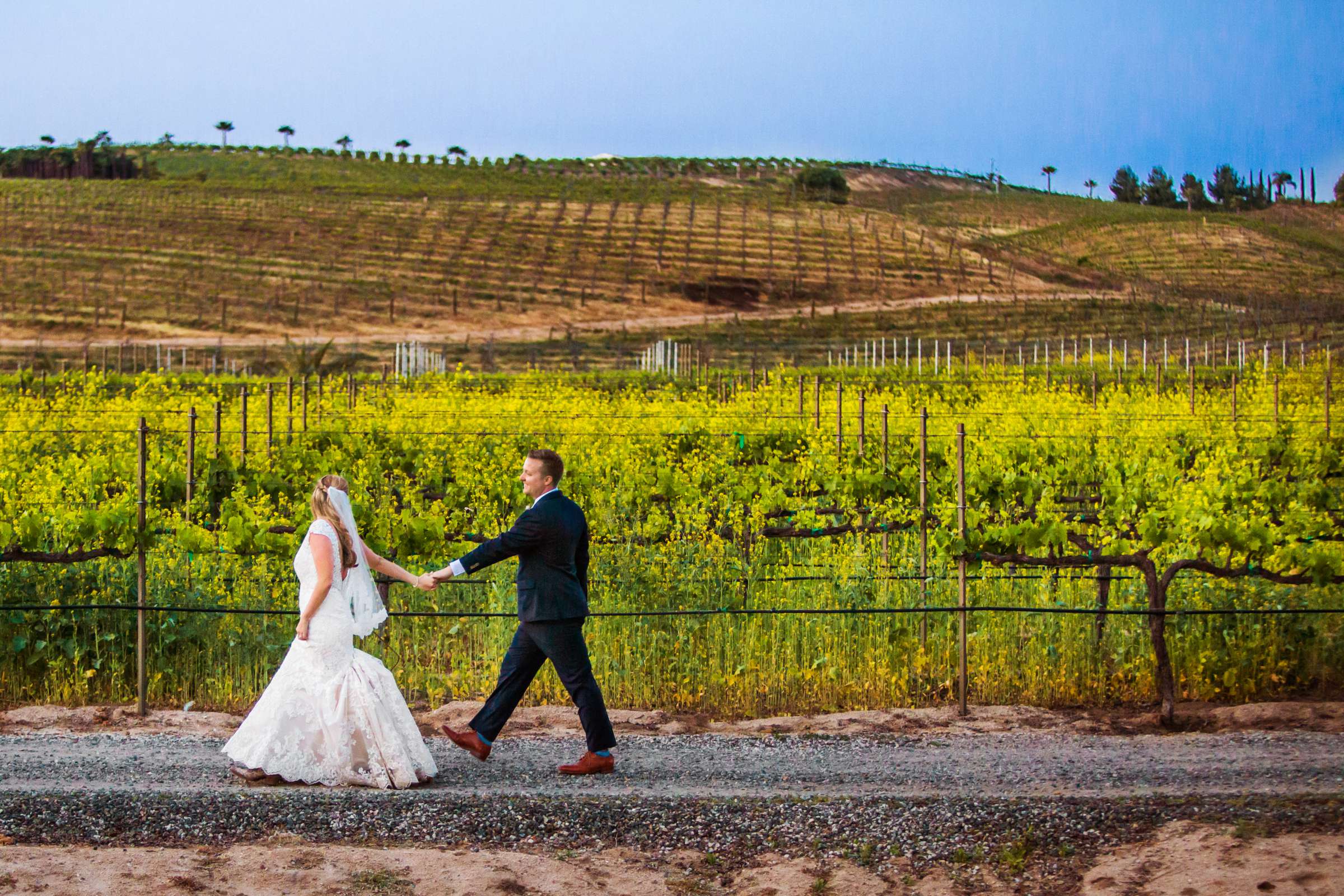 Peltzer Winery Wedding, Jaclyn and Nick Wedding Photo #140 by True Photography