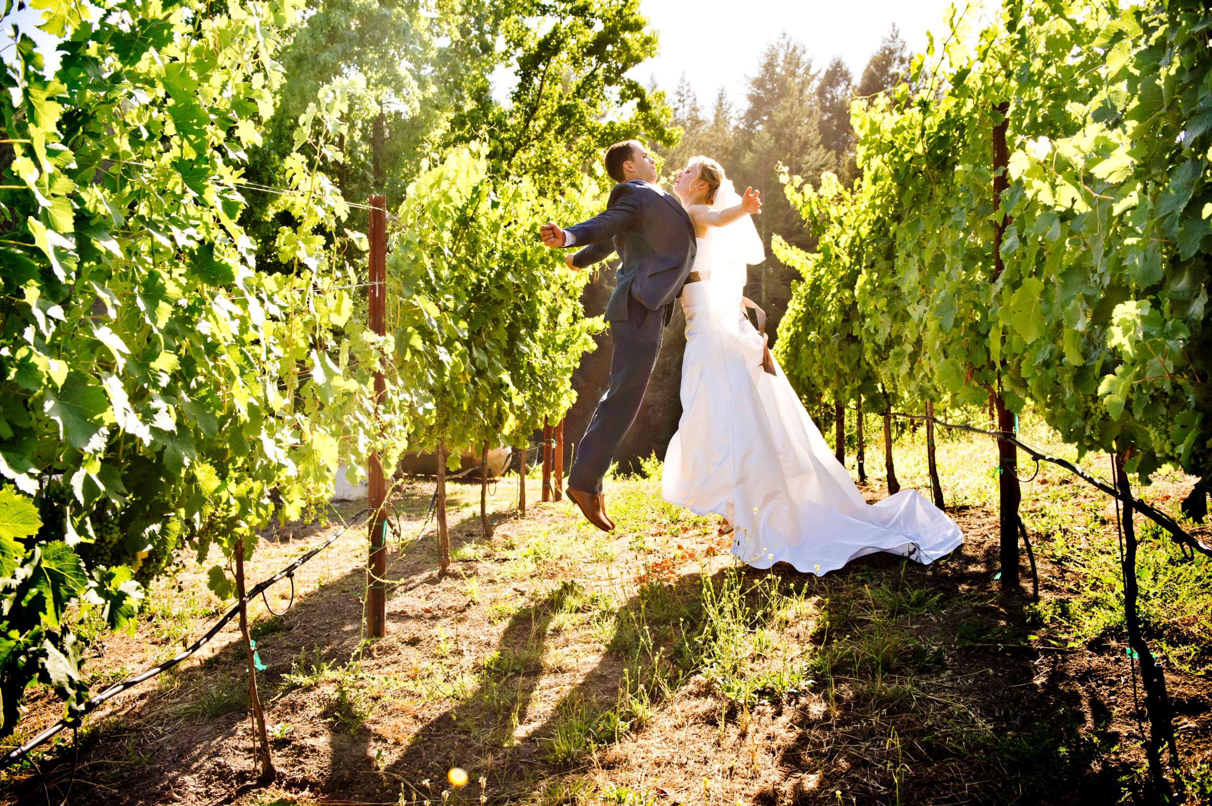 Yates Family Vineyard Wedding coordinated by Napa Valley Celebrations, Katie and Patrick Wedding Photo #356101 by True Photography