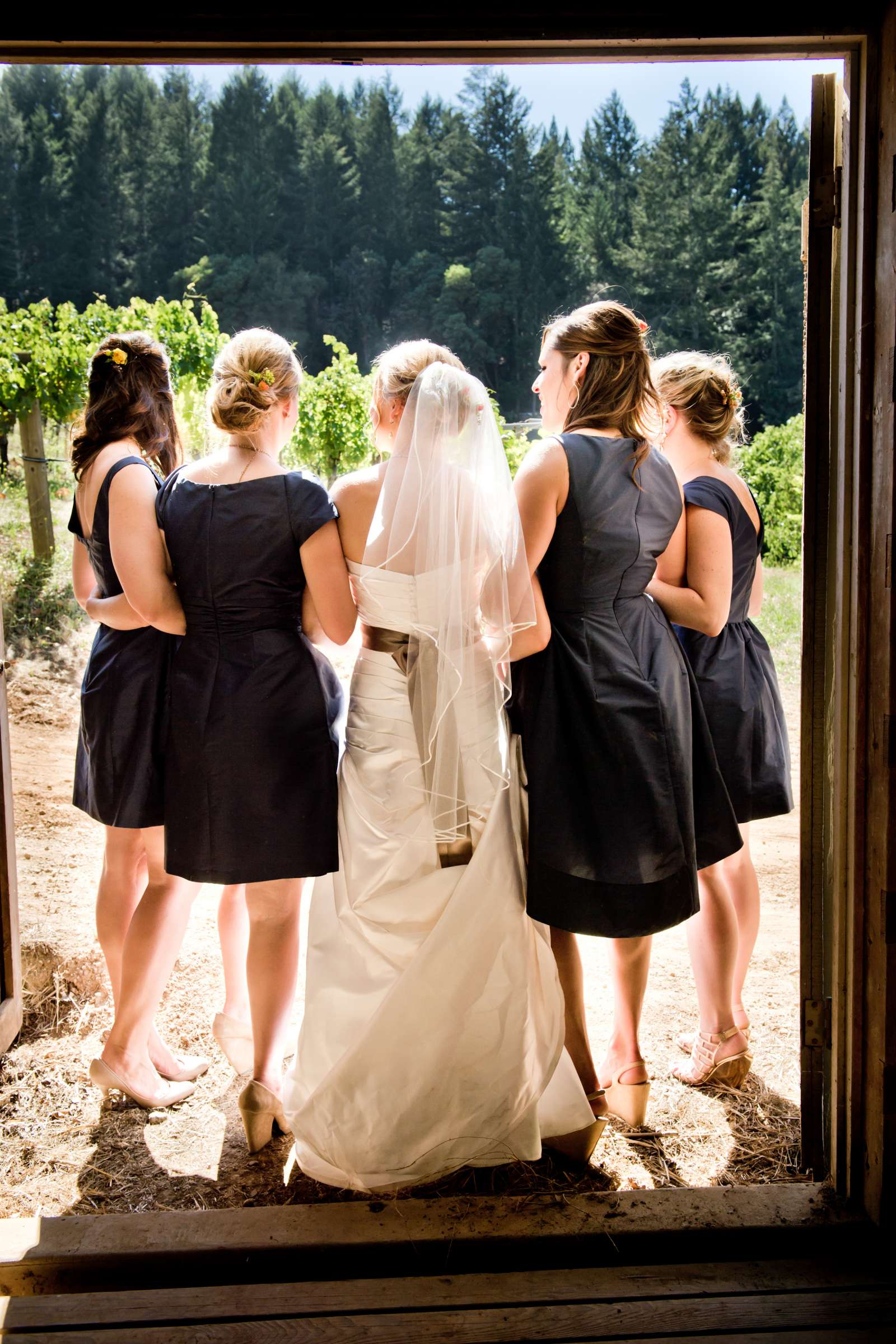 Yates Family Vineyard Wedding coordinated by Napa Valley Celebrations, Katie and Patrick Wedding Photo #356119 by True Photography