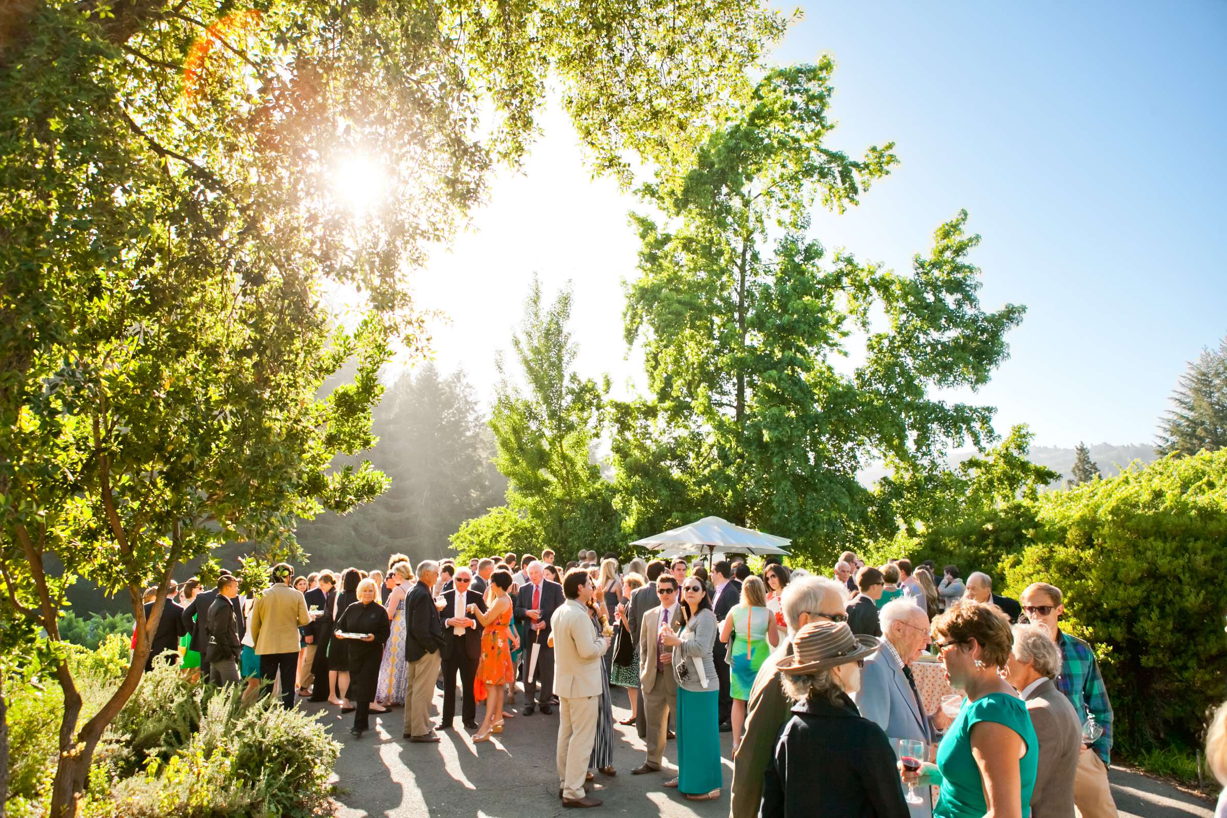 Yates Family Vineyard Wedding coordinated by Napa Valley Celebrations, Katie and Patrick Wedding Photo #356152 by True Photography