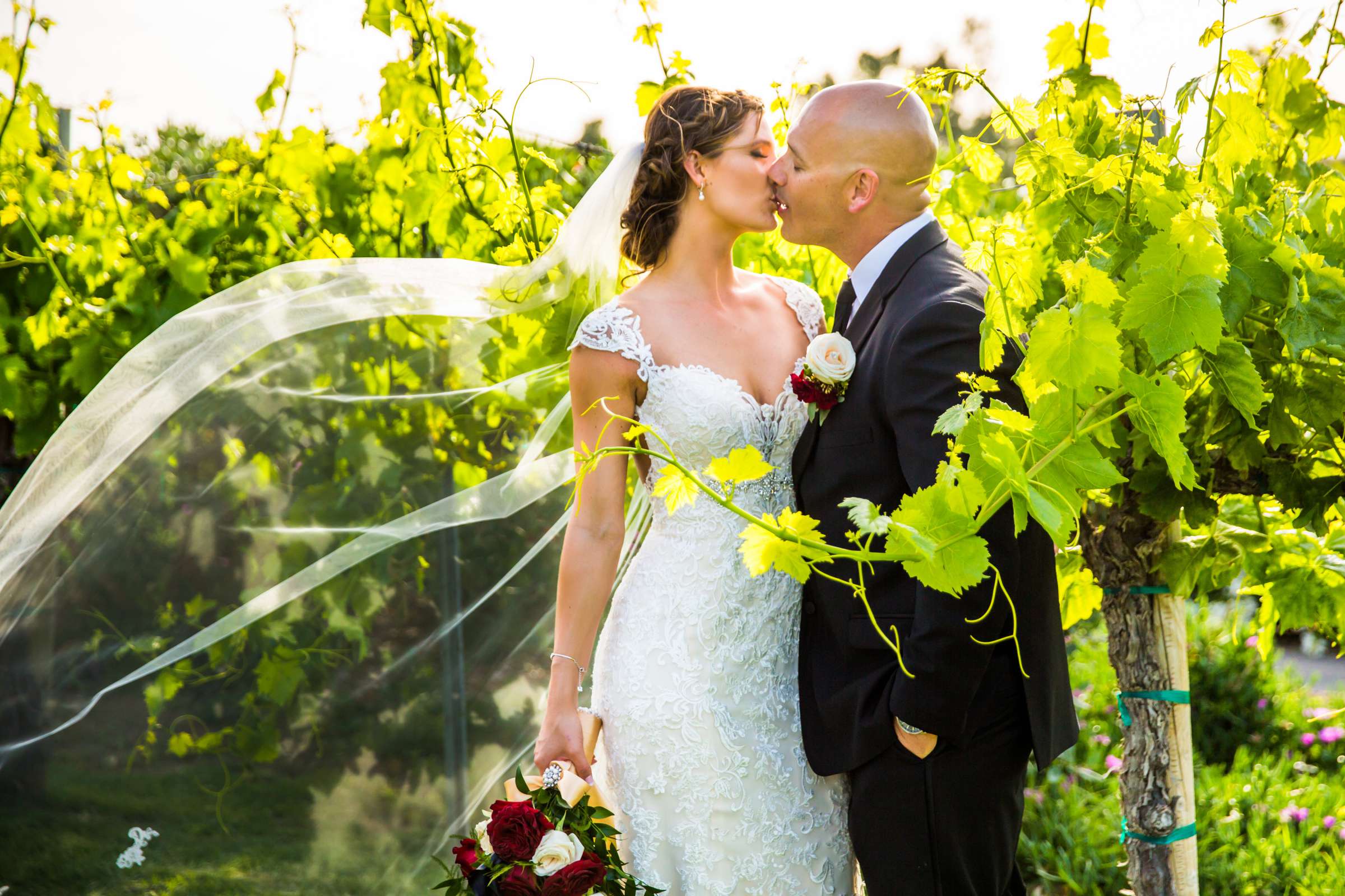 Mount Palomar Winery Wedding, Sarah and Dallas Wedding Photo #5 by True Photography