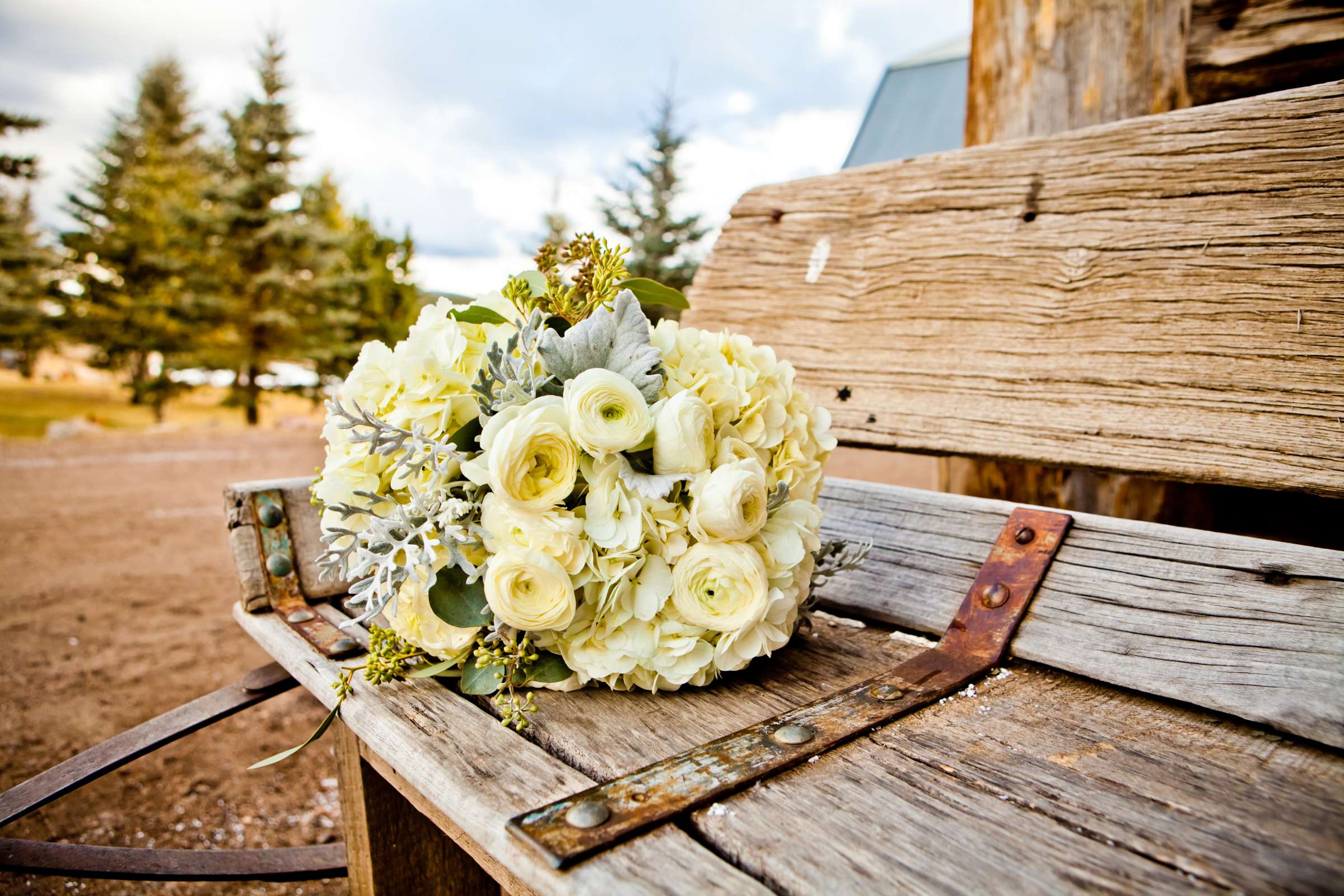The Barn at Evergreen Memorial Park Wedding, Melanie and Taylor Jay Wedding Photo #371865 by True Photography