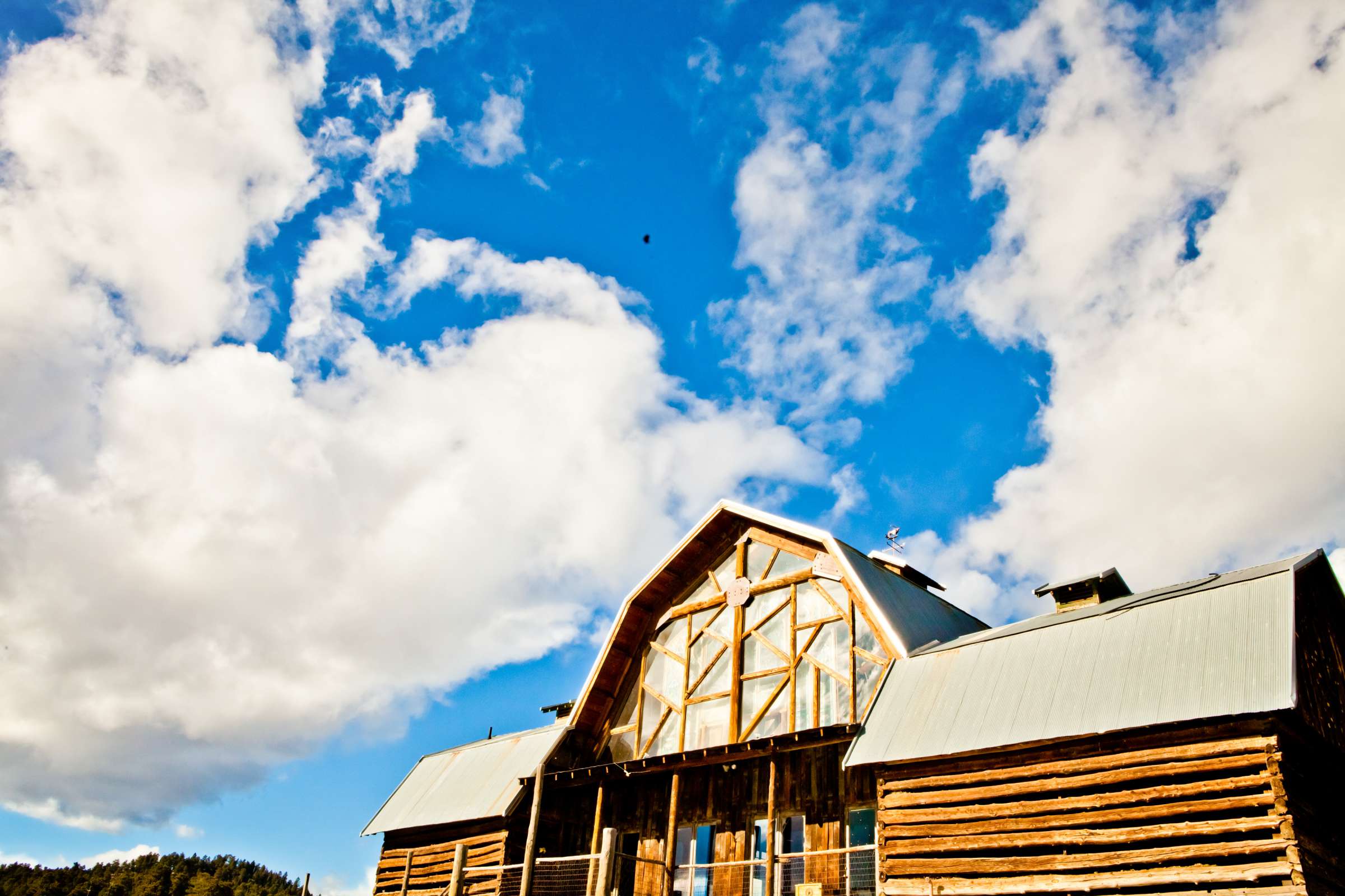 The Barn at Evergreen Memorial Park Wedding, Melanie and Taylor Jay Wedding Photo #371866 by True Photography