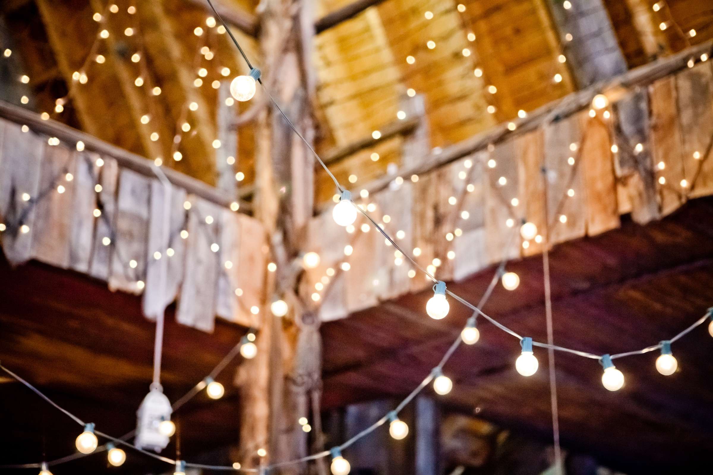The Barn at Evergreen Memorial Park Wedding, Melanie and Taylor Jay Wedding Photo #371870 by True Photography