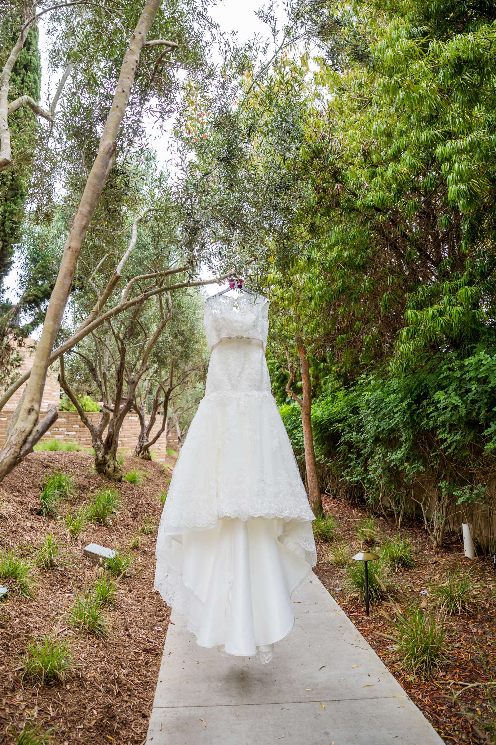 Estancia Wedding coordinated by EverAfter Events, Allison and Benjamin Wedding Photo #27 by True Photography