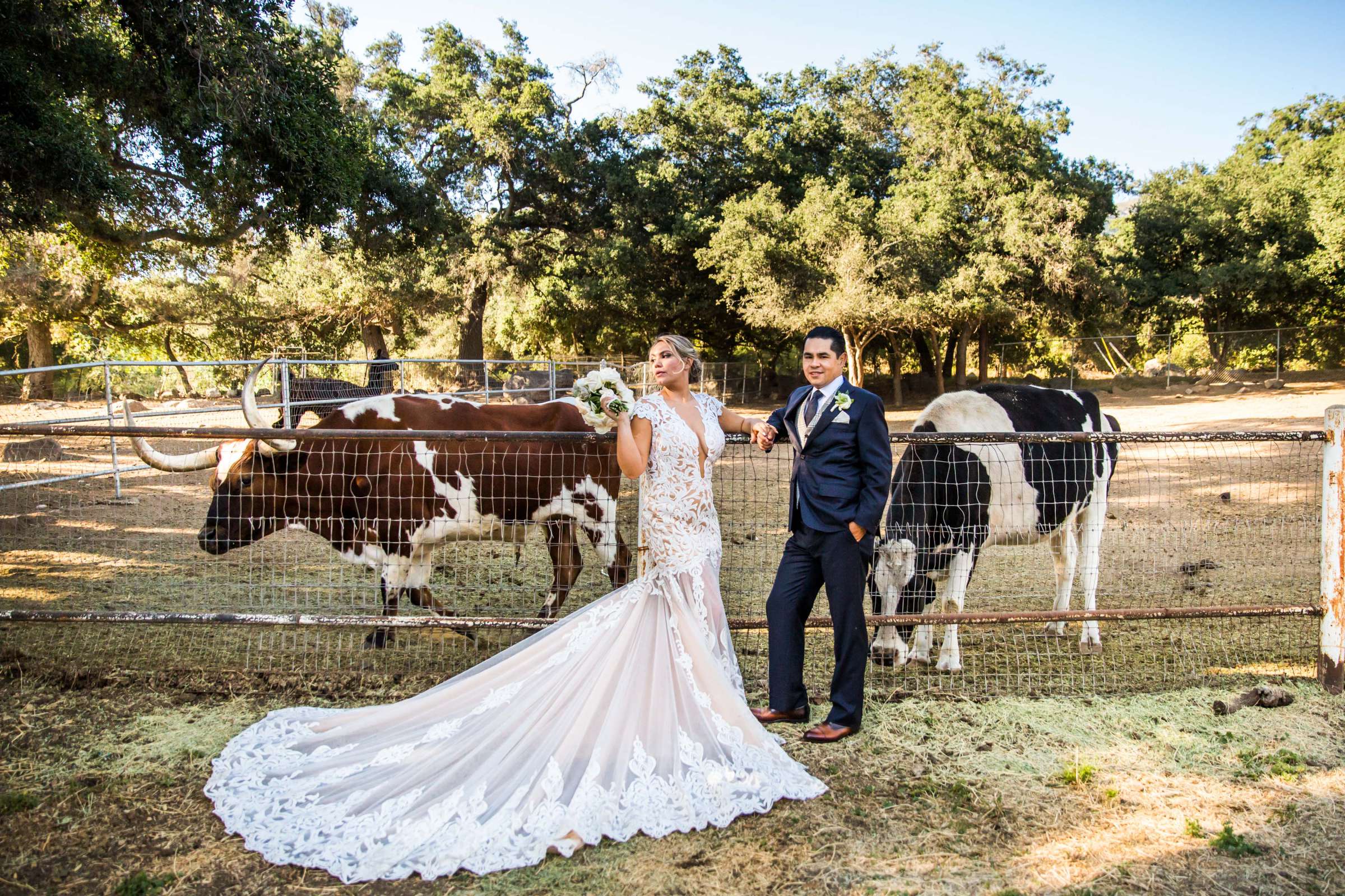 Farm, Stylized Portrait at Condors Nest Ranch Wedding, Jessica and Juan Carlos Wedding Photo #19 by True Photography