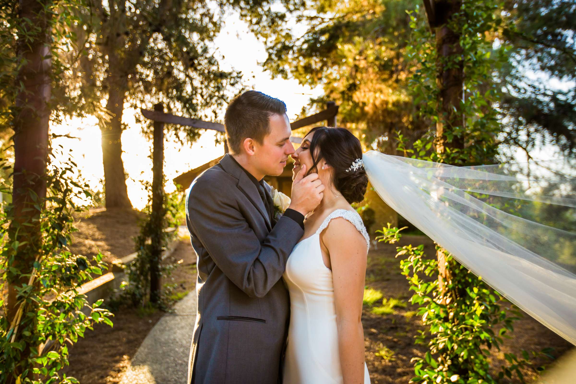 Ethereal Gardens Wedding, Nicole and Michael Wedding Photo #417153 by True Photography