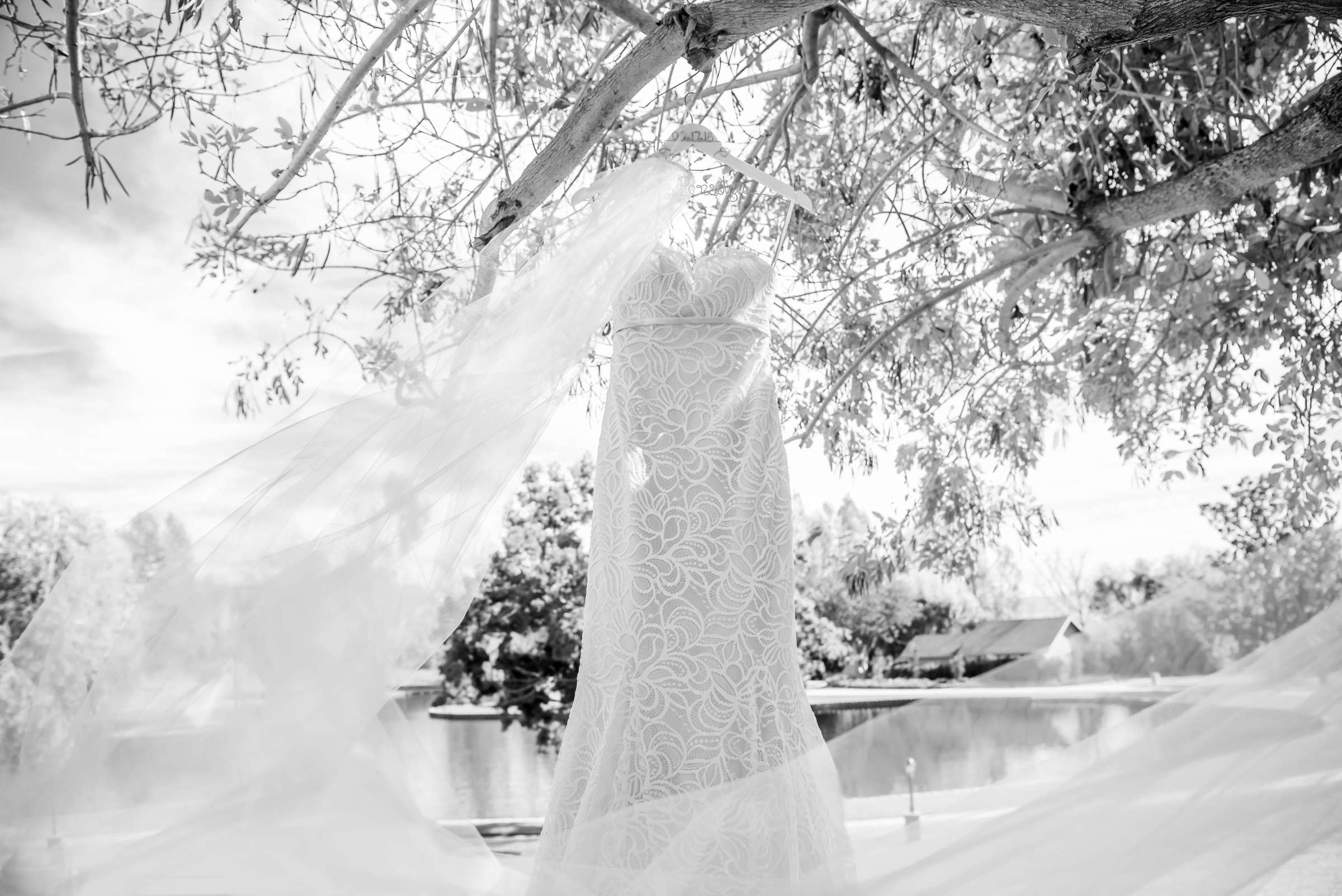 Wedding Dress at Grand Tradition Estate Wedding, Lynsie and Adam Wedding Photo #6 by True Photography