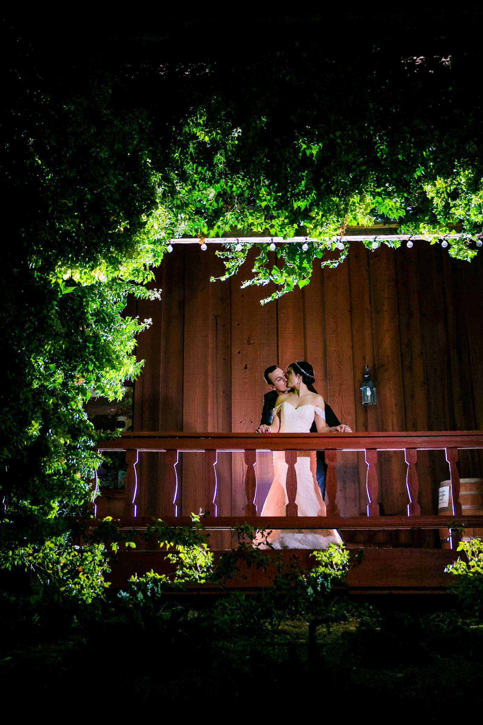 Falkner Winery Wedding, Valerie and Josh Wedding Photo #5 by True Photography