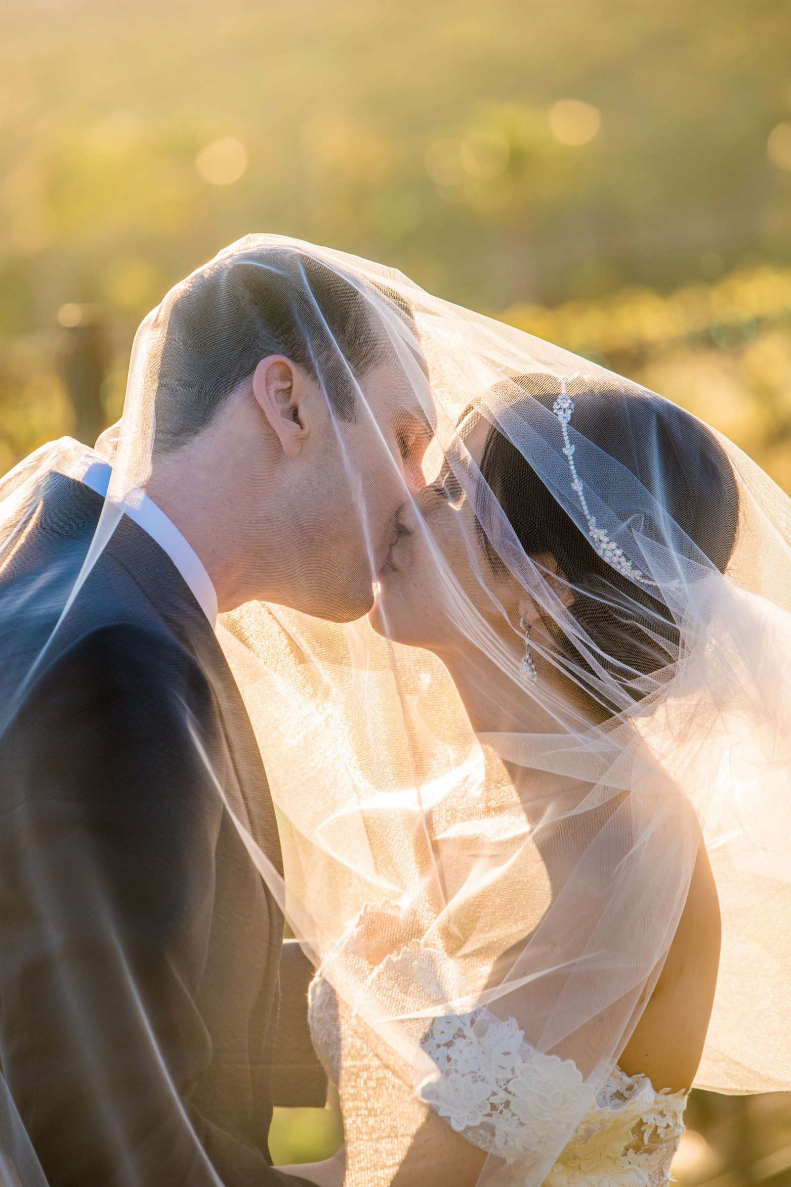 Falkner Winery Wedding, Valerie and Josh Wedding Photo #14 by True Photography