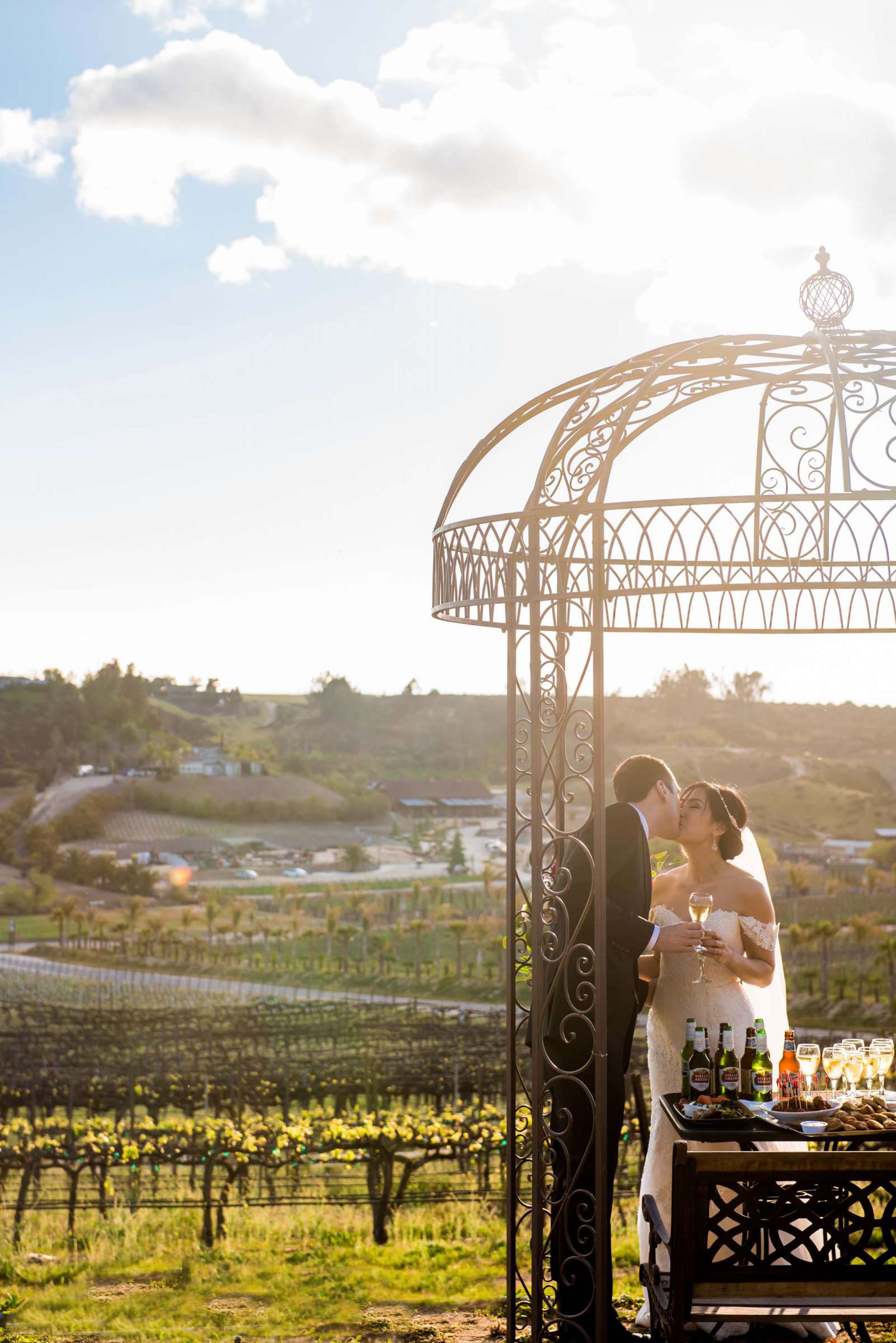 Falkner Winery Wedding, Valerie and Josh Wedding Photo #113 by True Photography