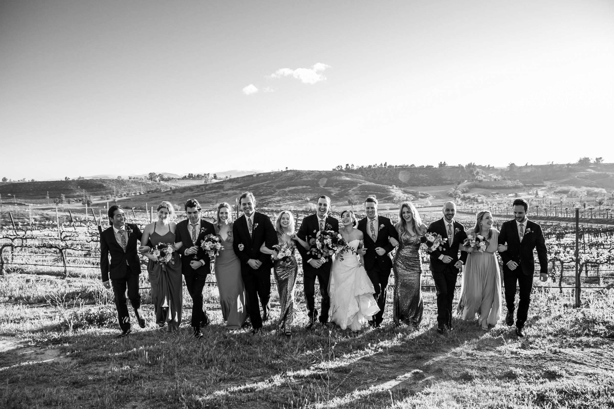 Falkner Winery Wedding, Valerie and Josh Wedding Photo #123 by True Photography