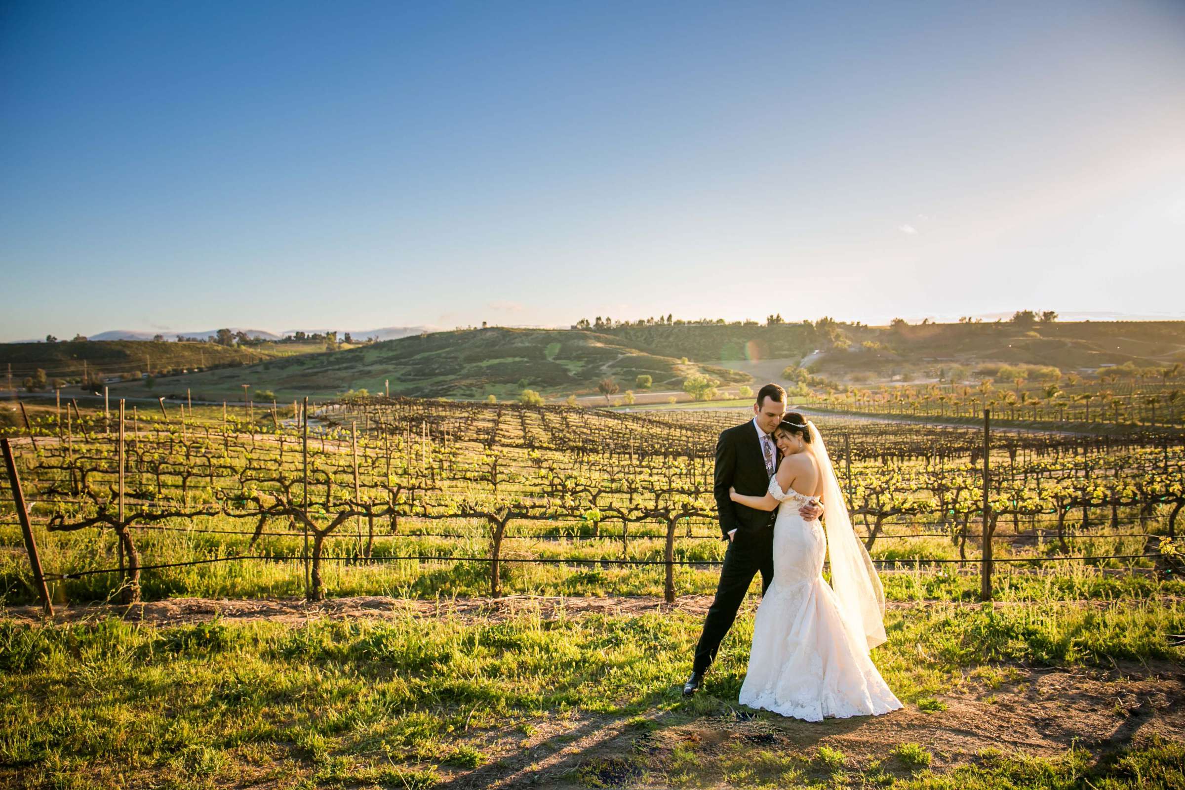 Falkner Winery Wedding, Valerie and Josh Wedding Photo #130 by True Photography