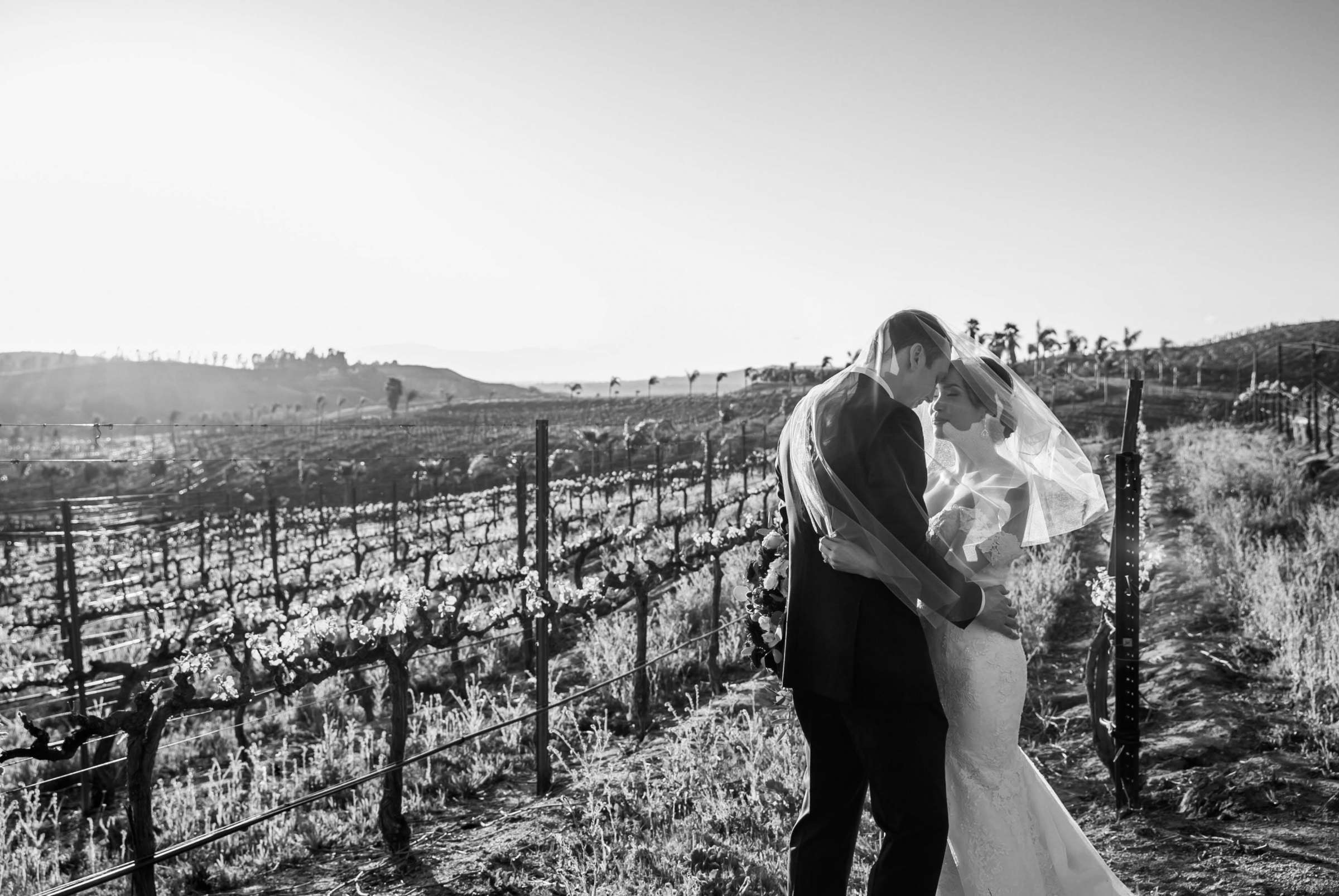 Falkner Winery Wedding, Valerie and Josh Wedding Photo #136 by True Photography