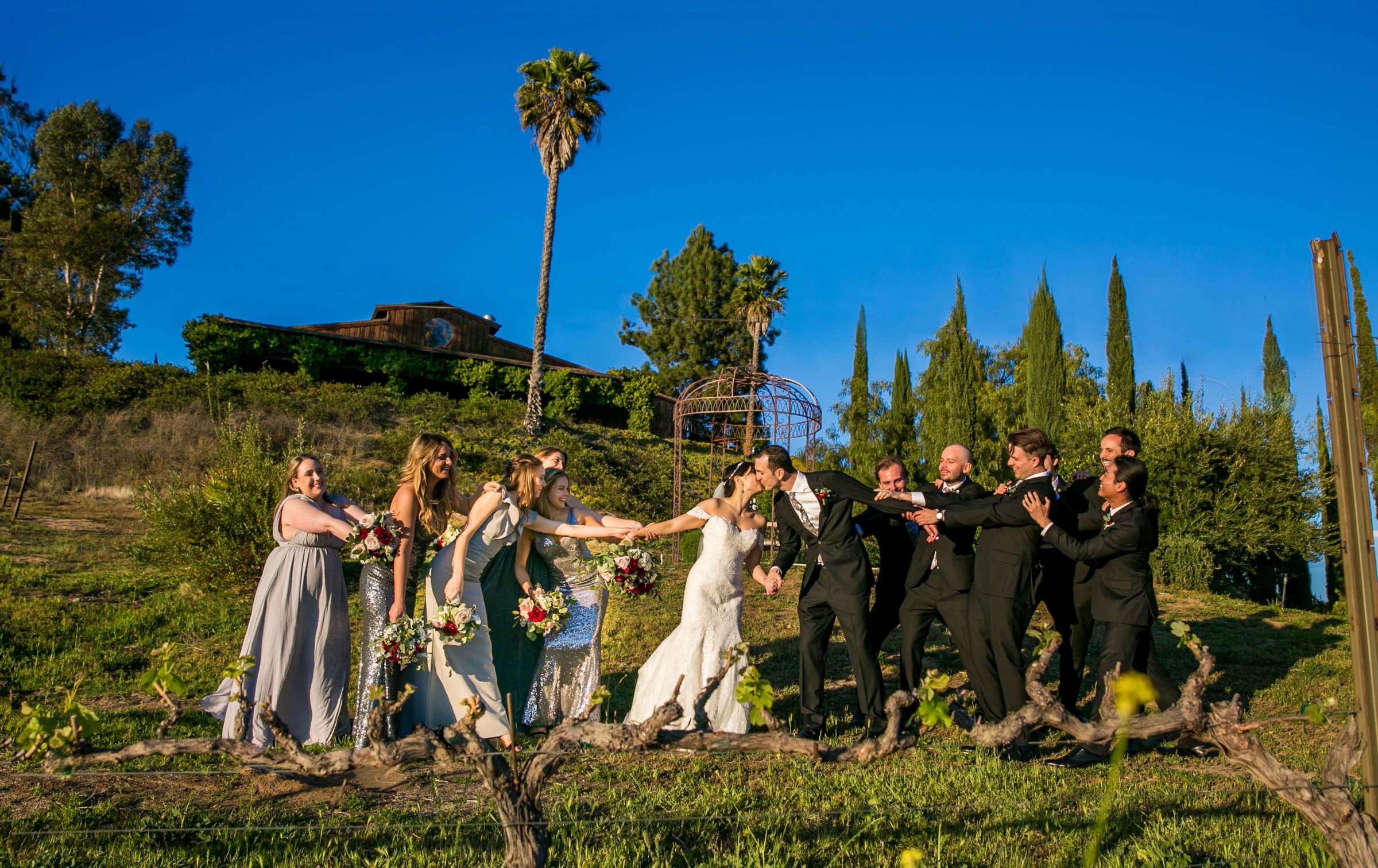 Falkner Winery Wedding, Valerie and Josh Wedding Photo #137 by True Photography