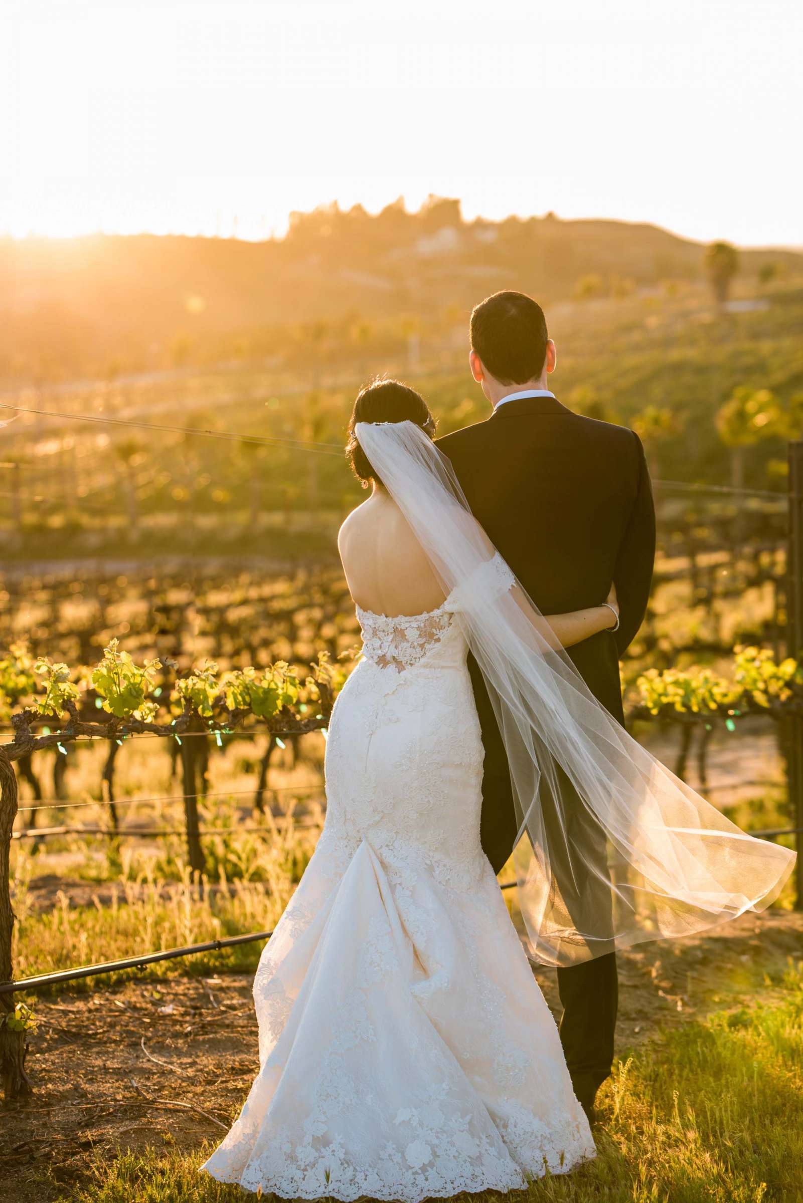 Falkner Winery Wedding, Valerie and Josh Wedding Photo #138 by True Photography