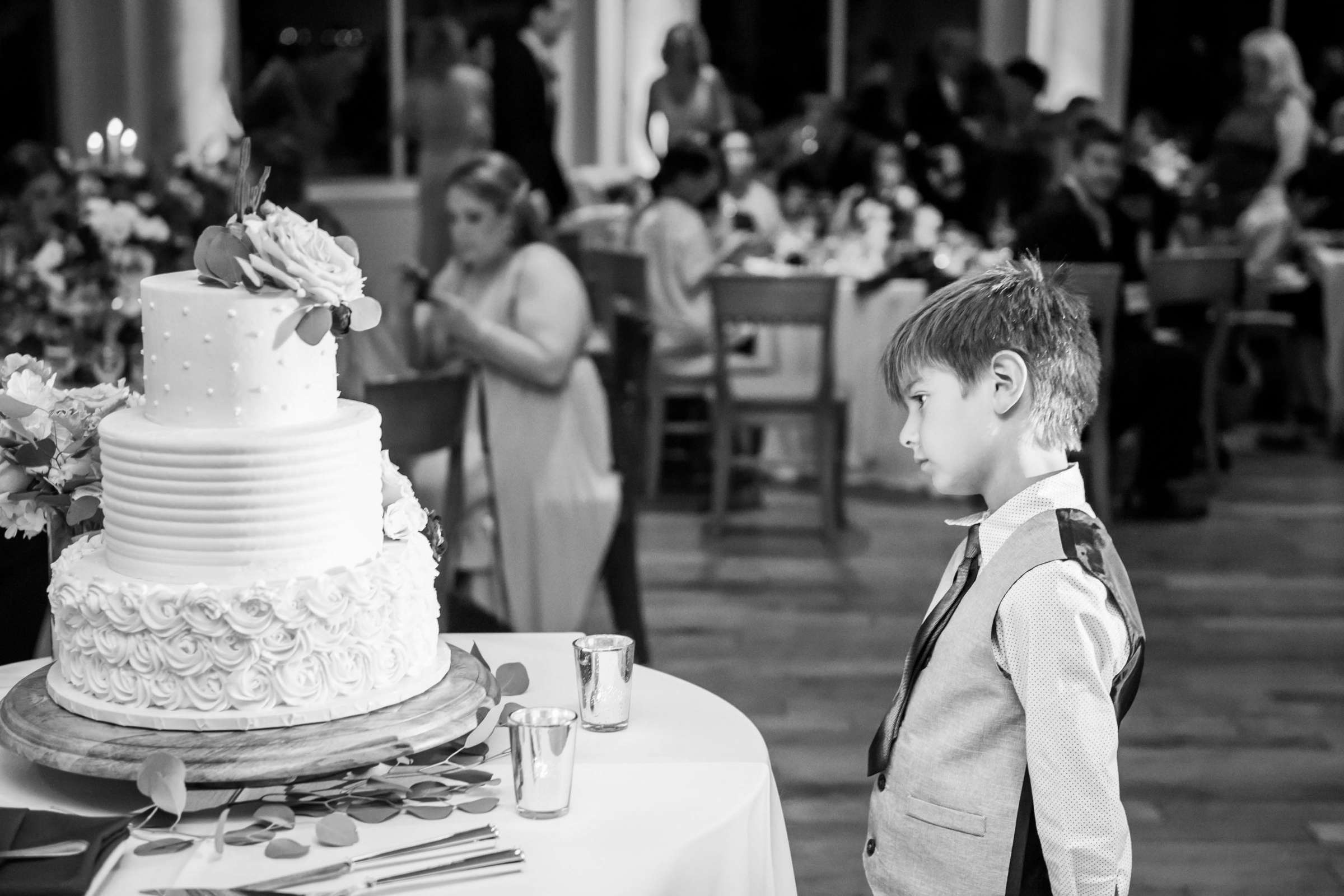 Falkner Winery Wedding, Valerie and Josh Wedding Photo #150 by True Photography