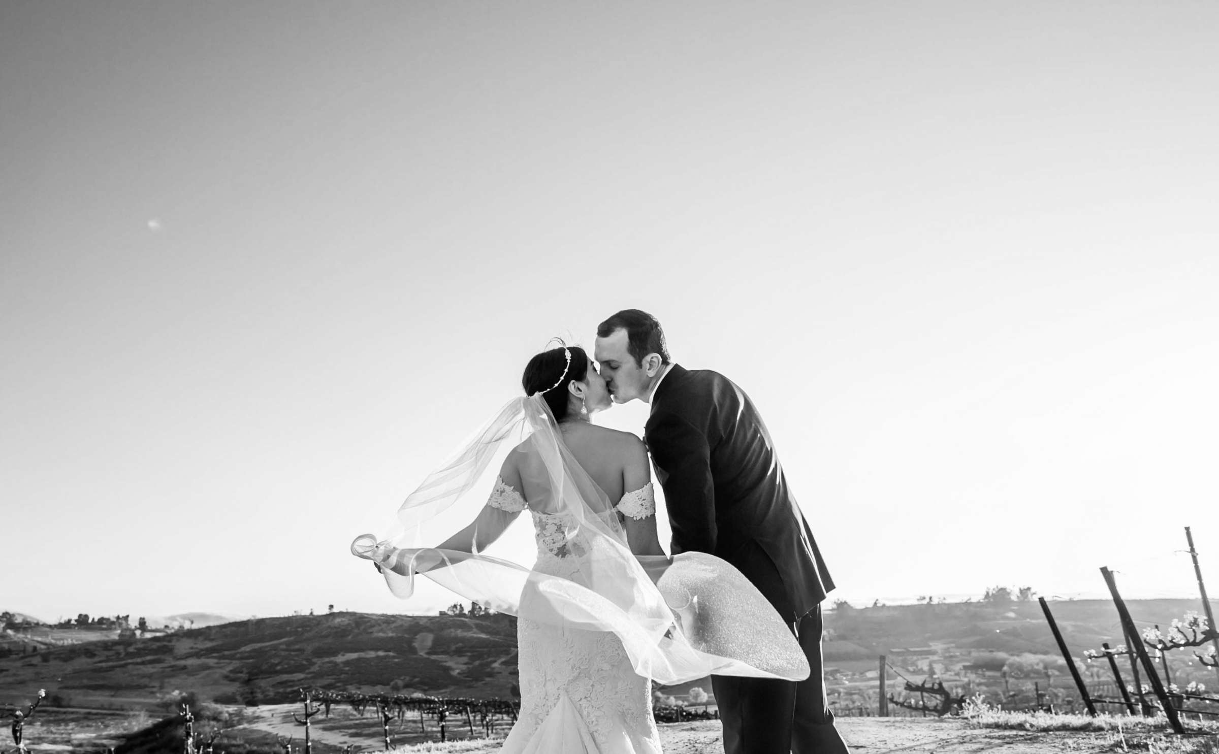 Falkner Winery Wedding, Valerie and Josh Wedding Photo #118 by True Photography