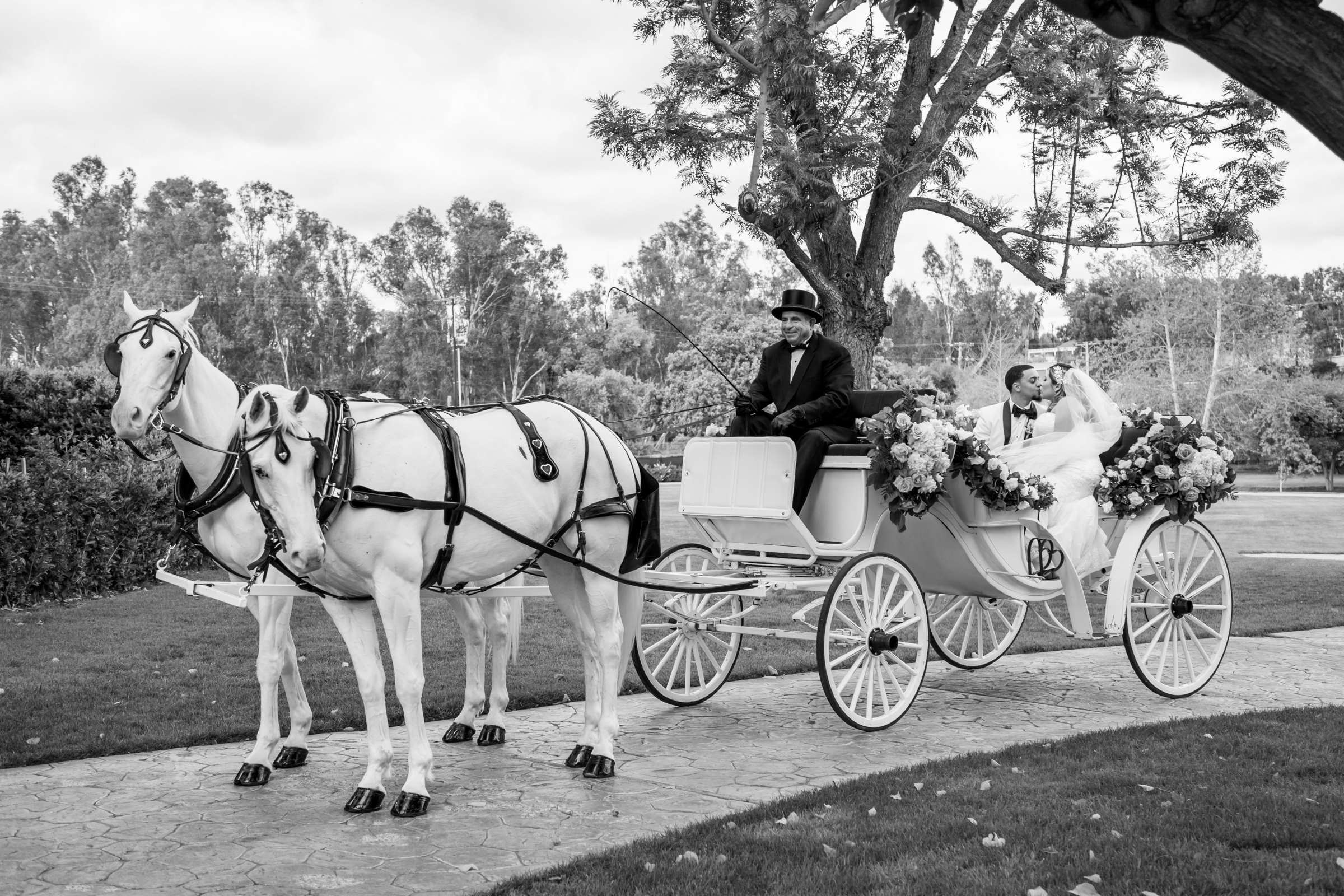 Grand Tradition Estate Wedding, Brianna and Joseph Wedding Photo #64 by True Photography