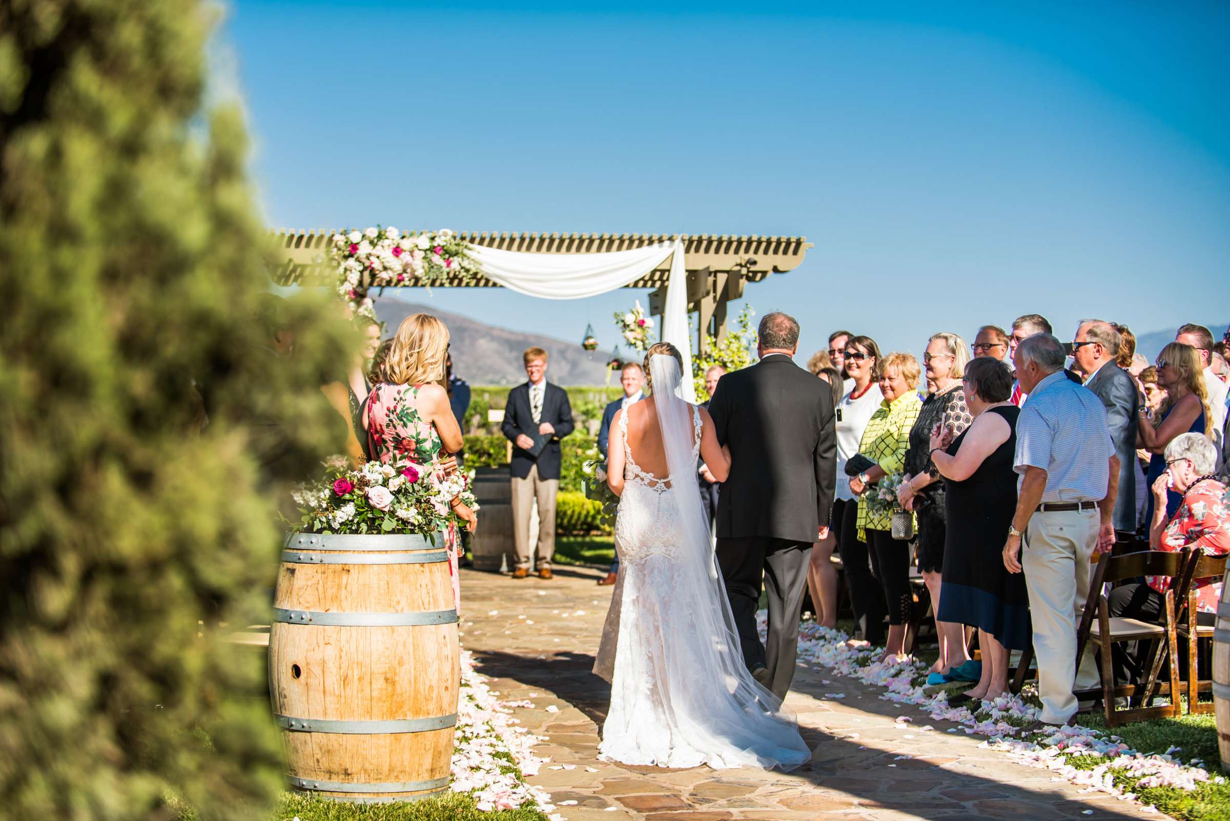 Ponte Estate Winery Wedding, Kelsey and Andrew Wedding Photo #61 by True Photography