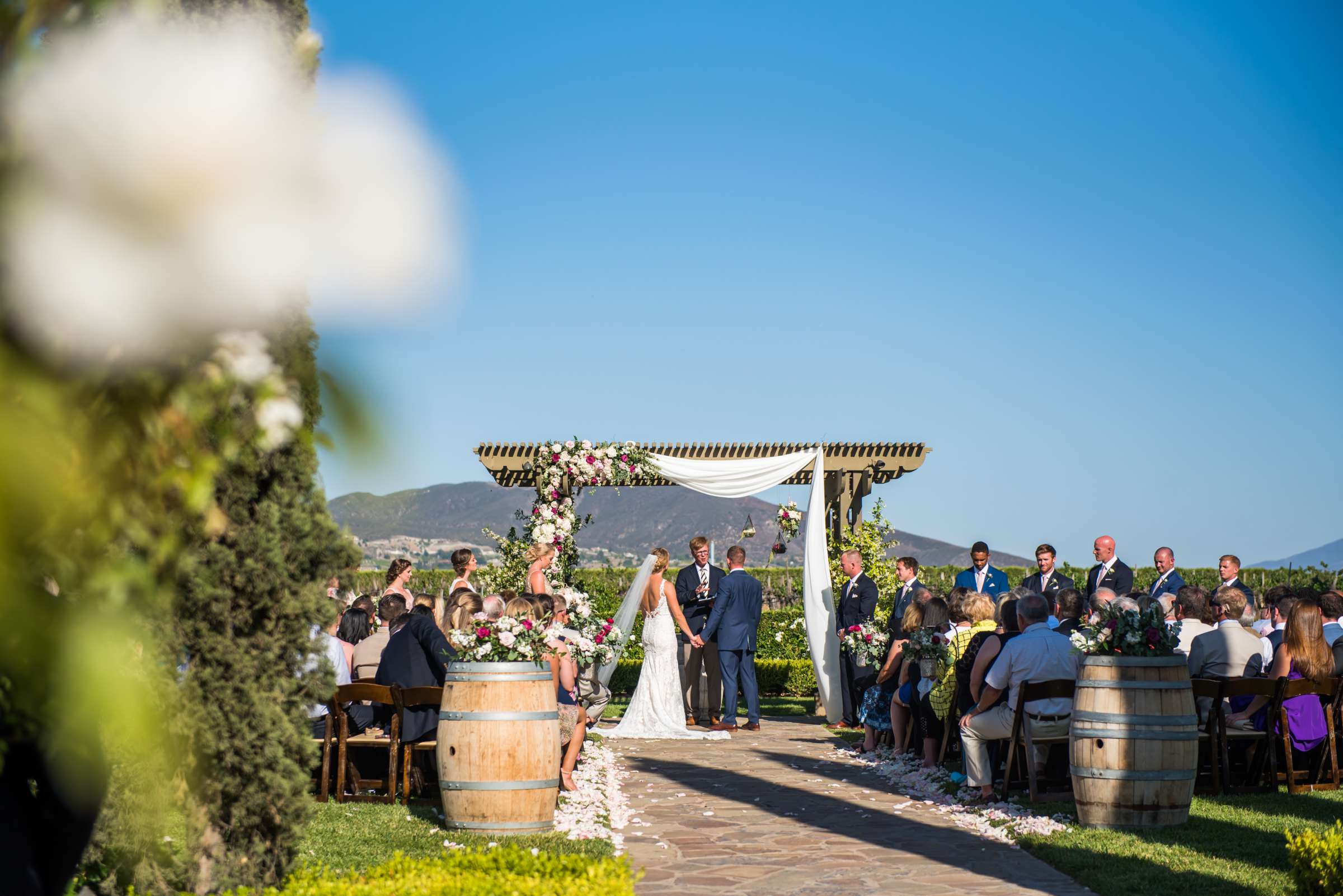 Ponte Estate Winery Wedding, Kelsey and Andrew Wedding Photo #72 by True Photography