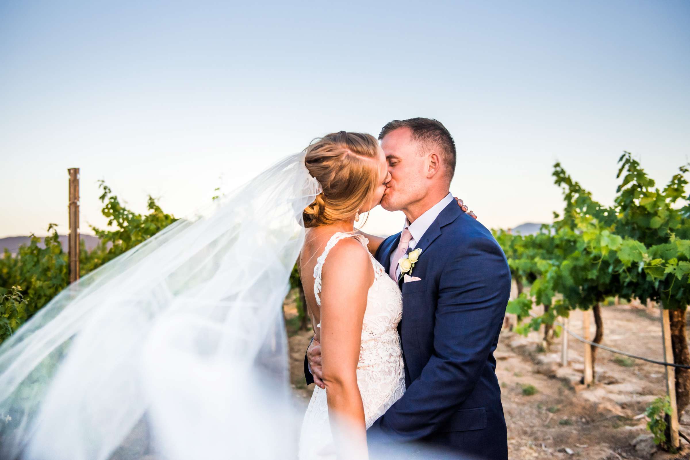 Ponte Estate Winery Wedding, Kelsey and Andrew Wedding Photo #108 by True Photography