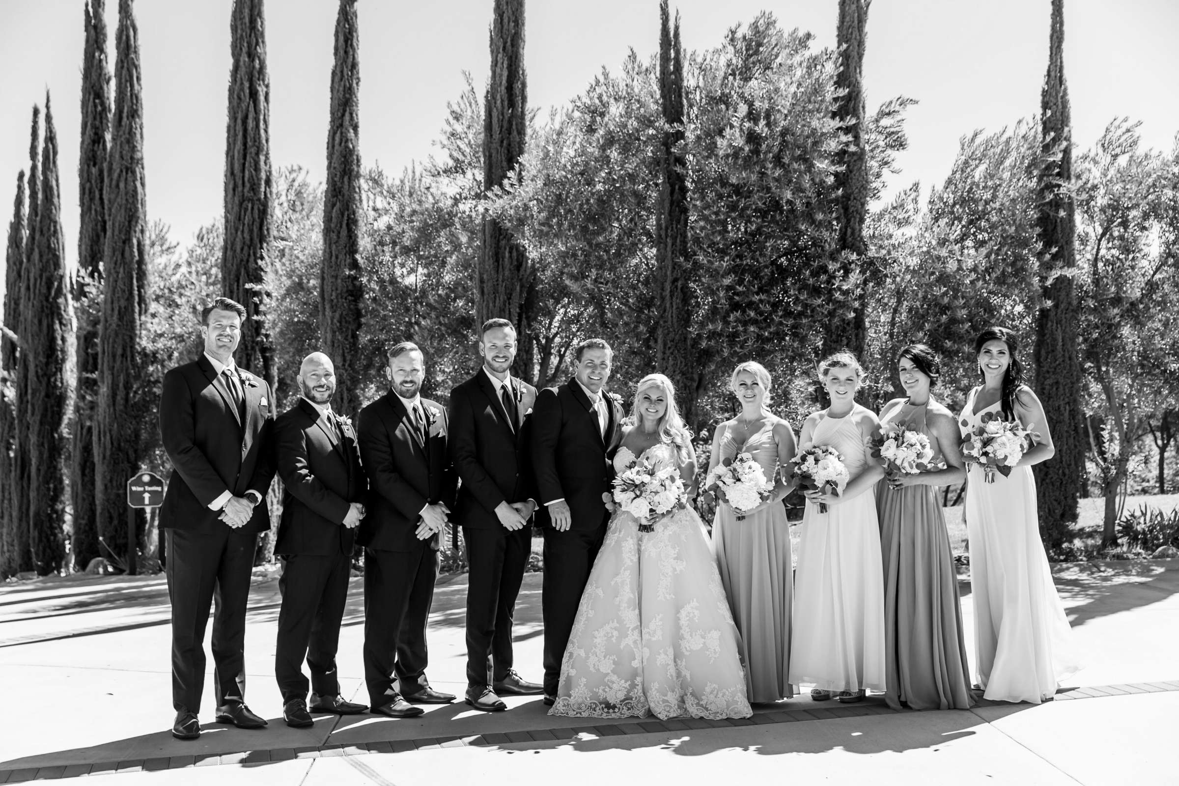 Mount Palomar Winery Wedding, Meg and Eric Wedding Photo #477515 by True Photography