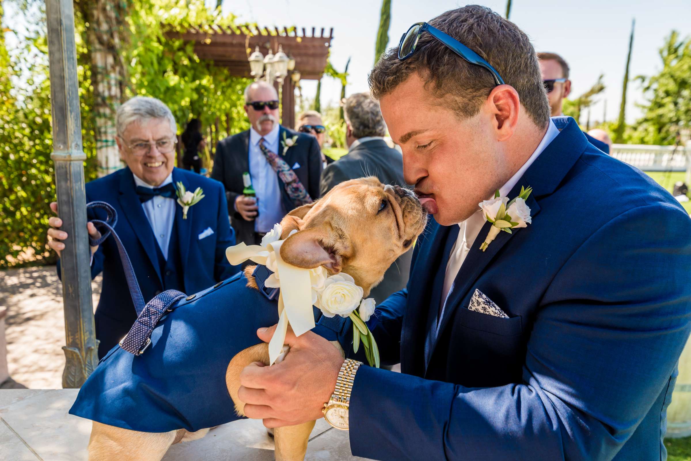Mount Palomar Winery Wedding, Meg and Eric Wedding Photo #477523 by True Photography