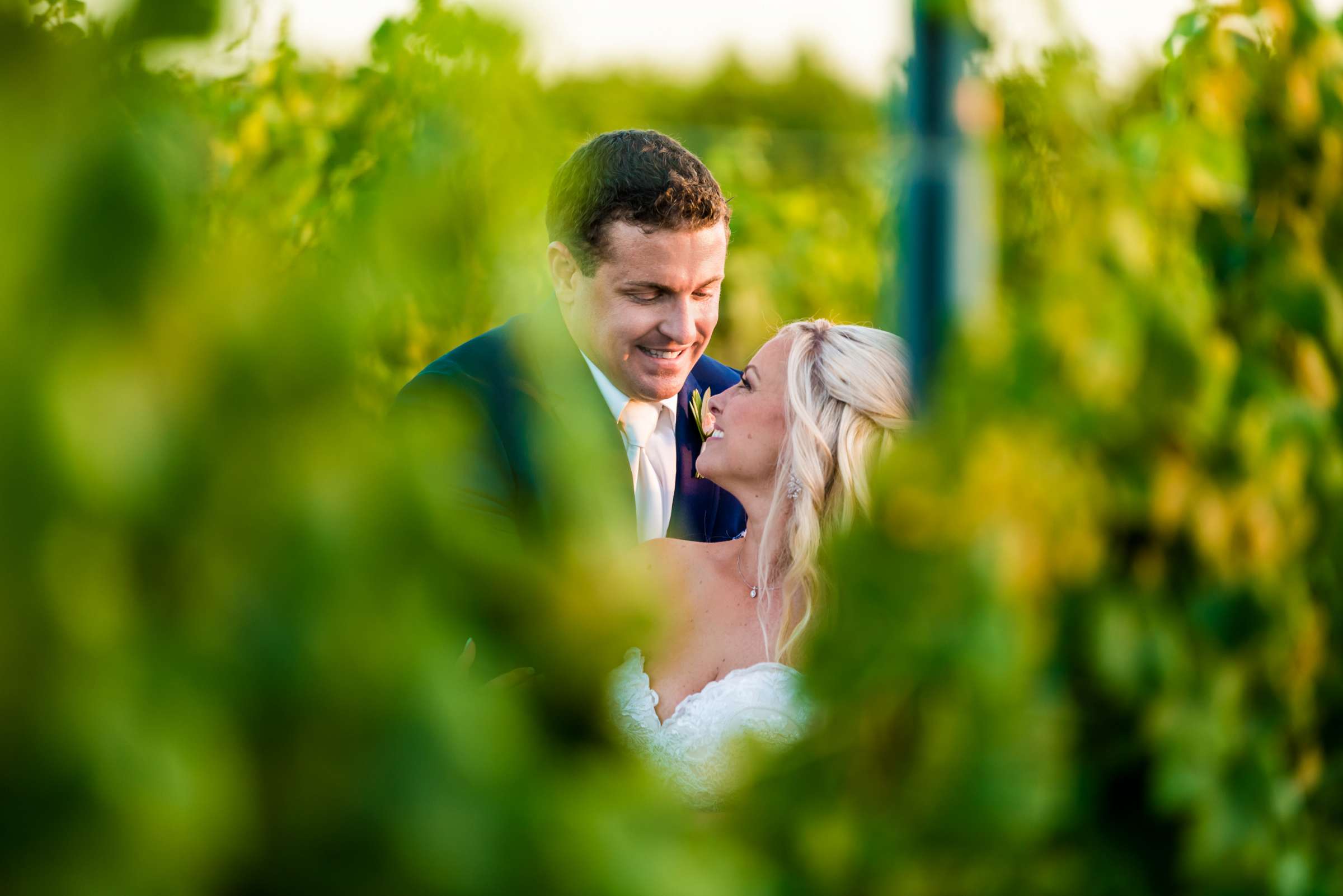 Mount Palomar Winery Wedding, Meg and Eric Wedding Photo #477527 by True Photography