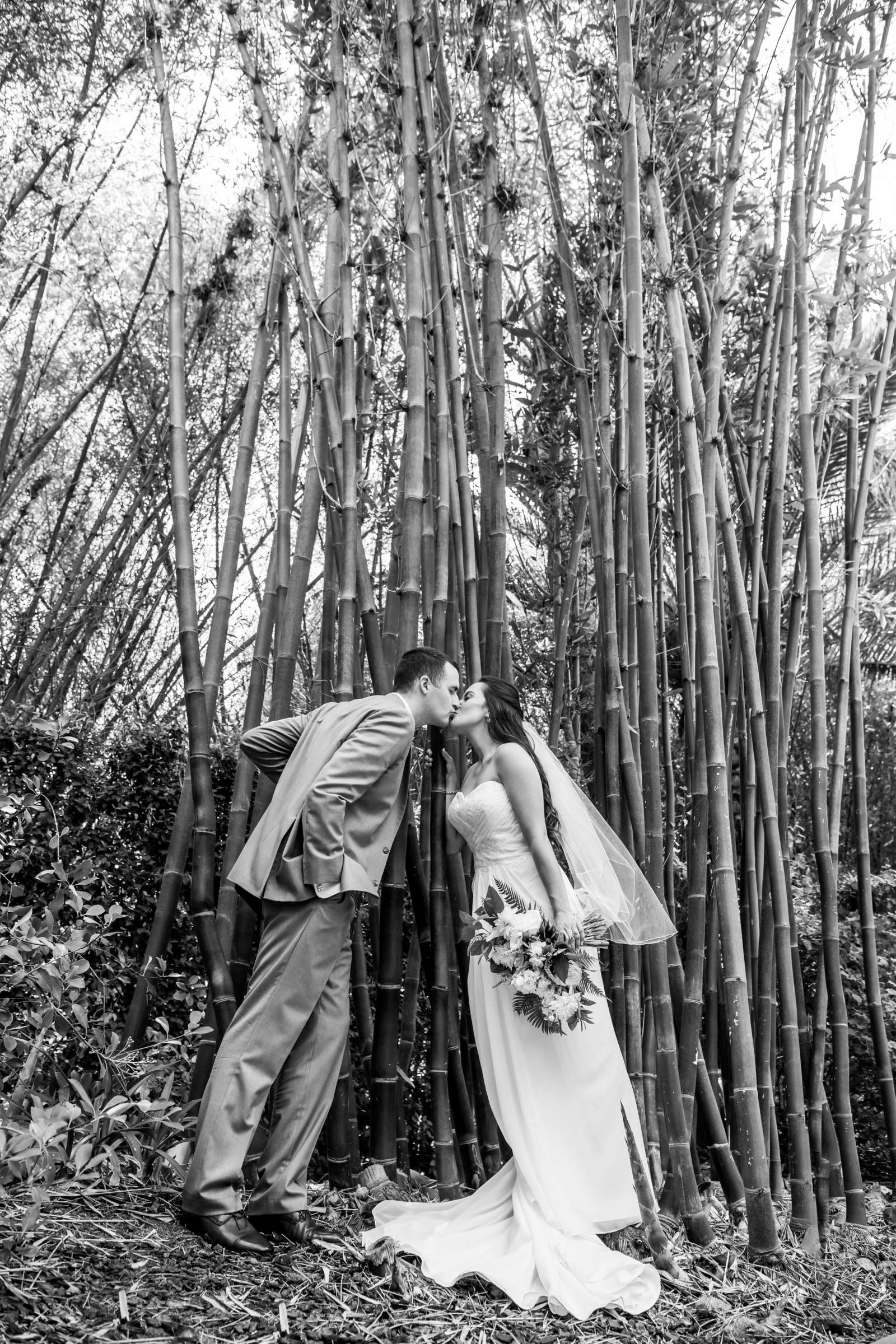 Grand Tradition Estate Wedding, Kaila and Austin Wedding Photo #20 by True Photography