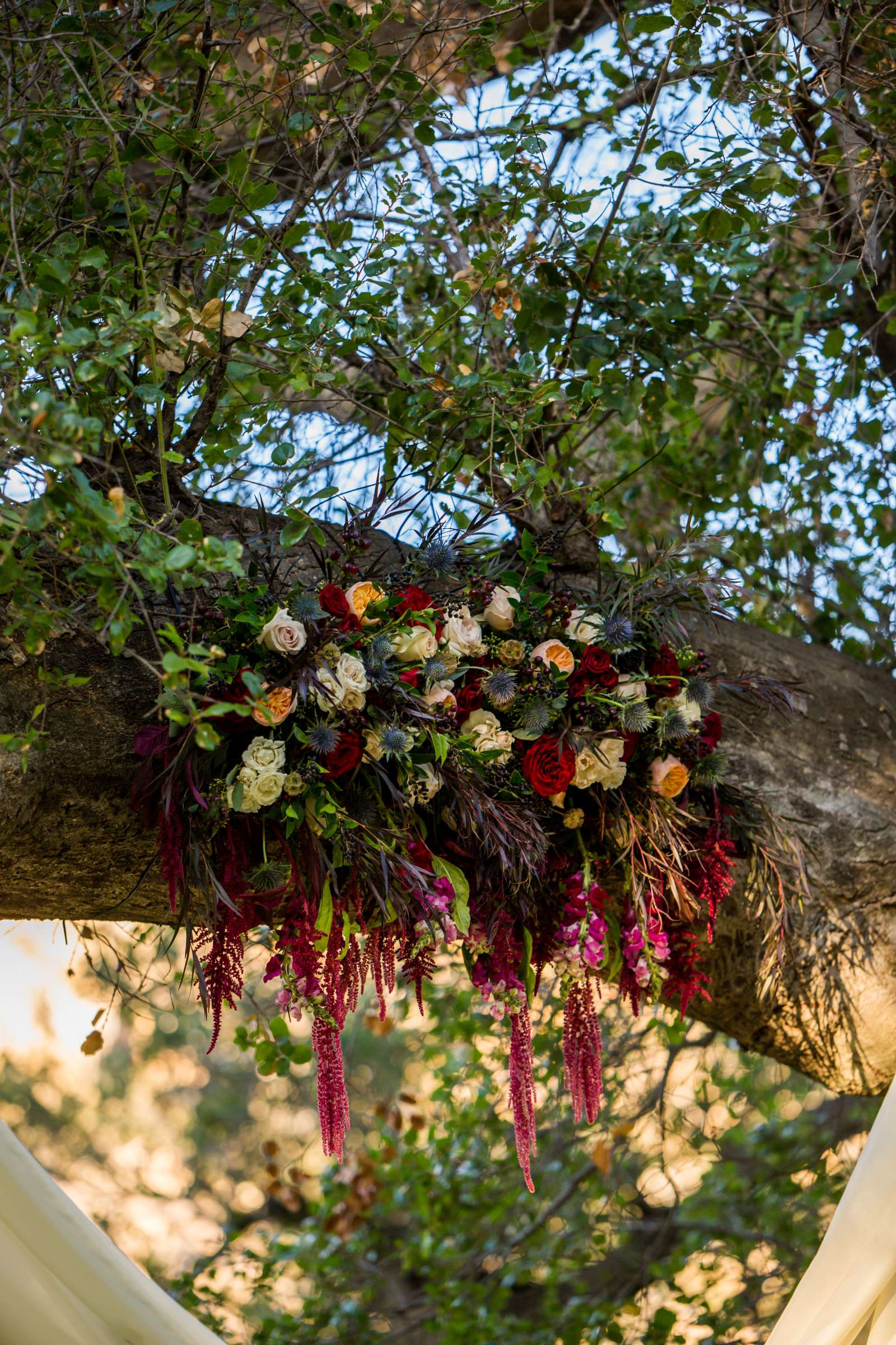 Eden Oaks Ranch Wedding coordinated by BASH WEDDINGS/EVENTS, Sarah and Zach Wedding Photo #185 by True Photography