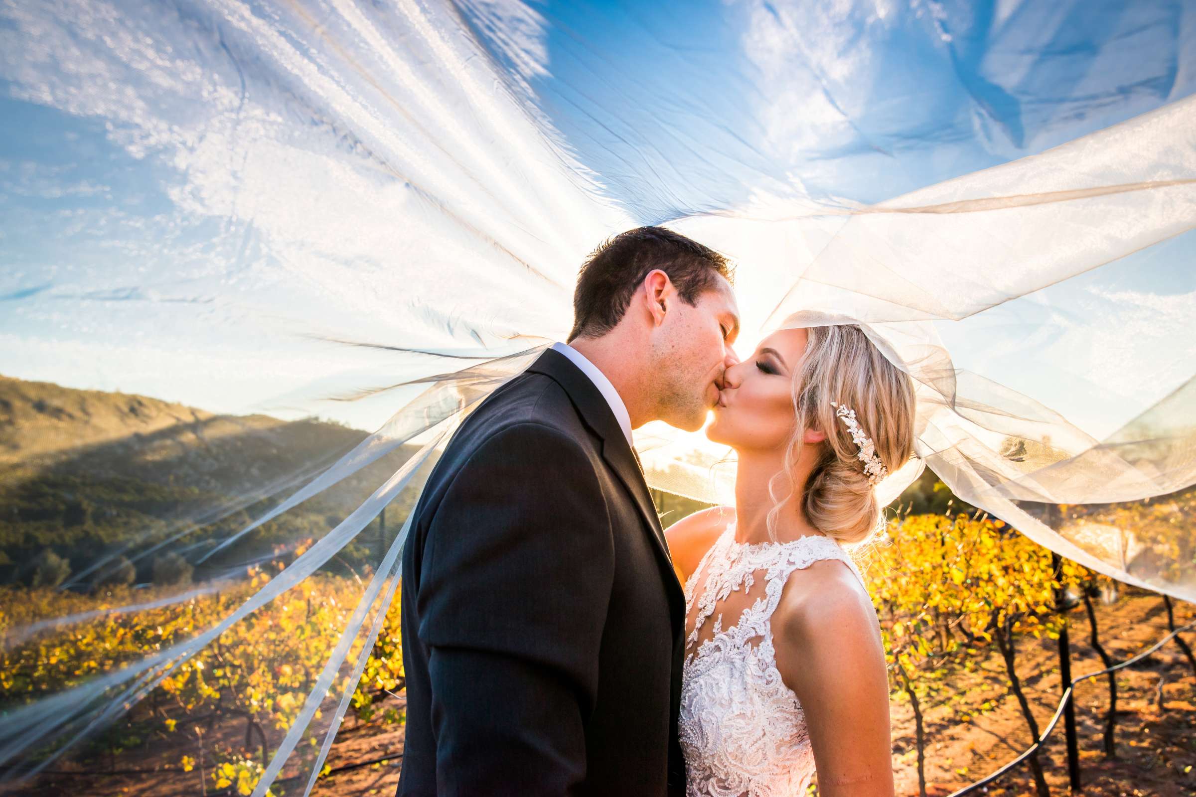 Cordiano Winery Wedding coordinated by Sisti & Co, Sara and Kyle Wedding Photo #1 by True Photography
