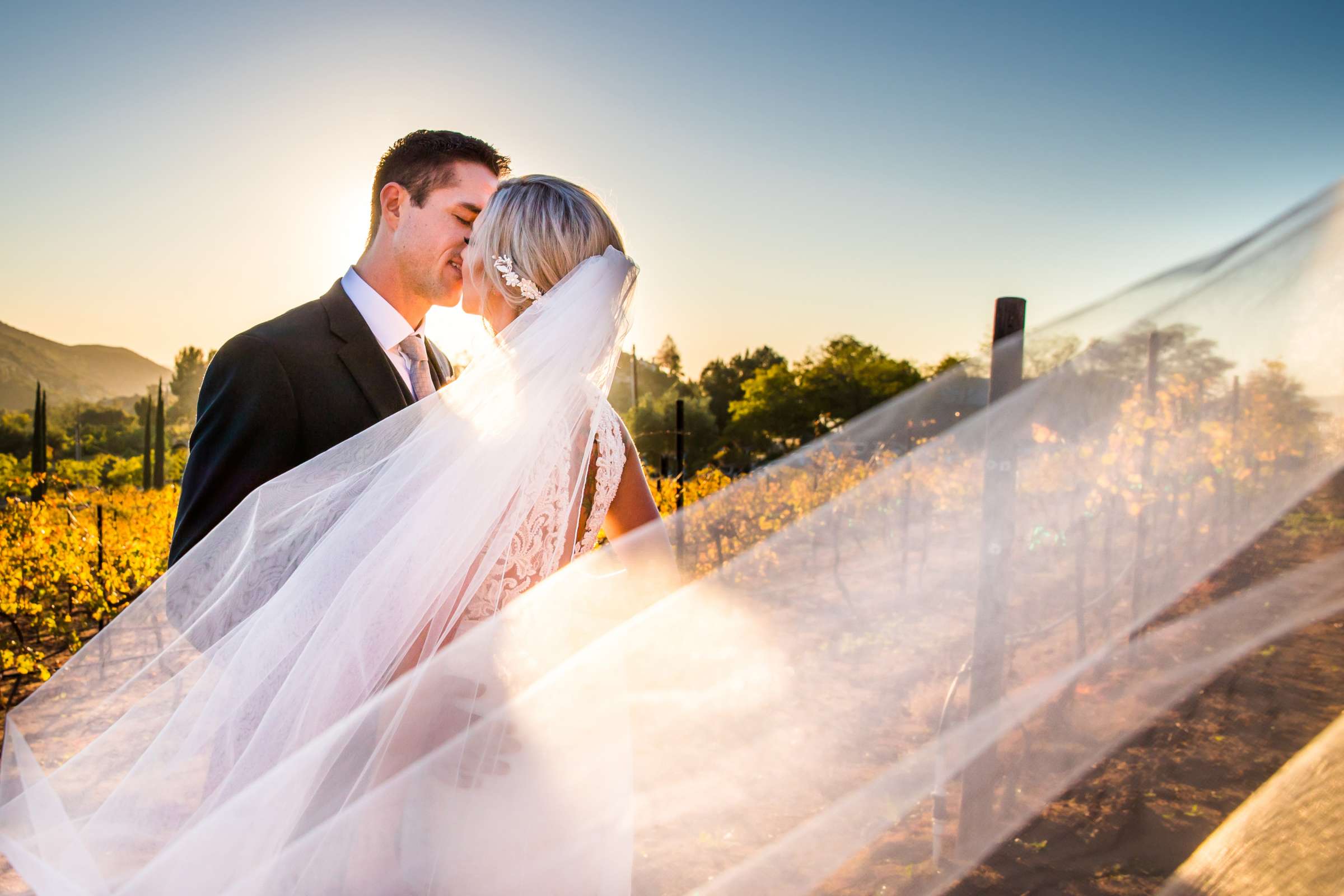 Cordiano Winery Wedding coordinated by Sisti & Co, Sara and Kyle Wedding Photo #9 by True Photography