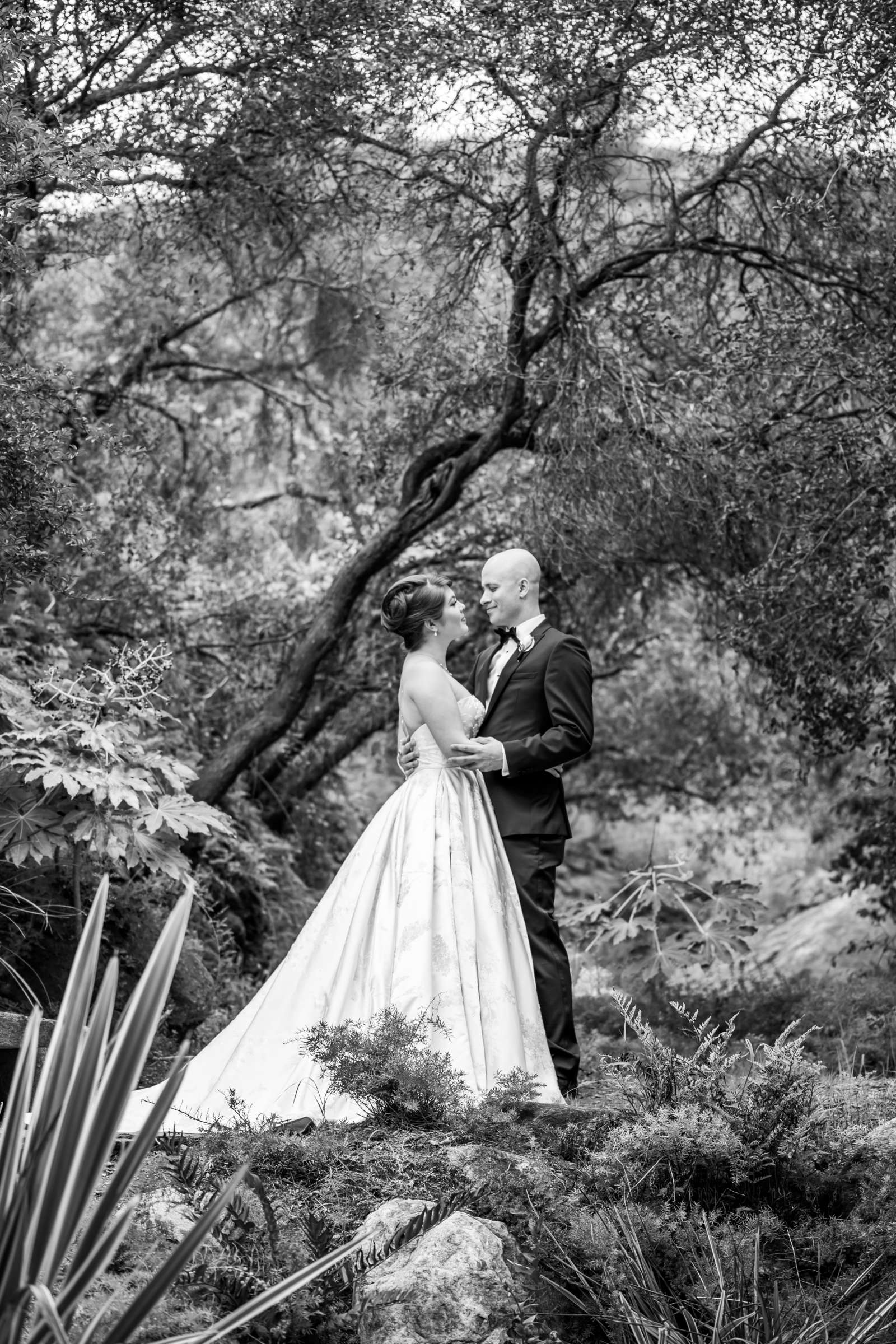 Pala Mesa Resort Wedding, Alison and Eric Wedding Photo #38 by True Photography