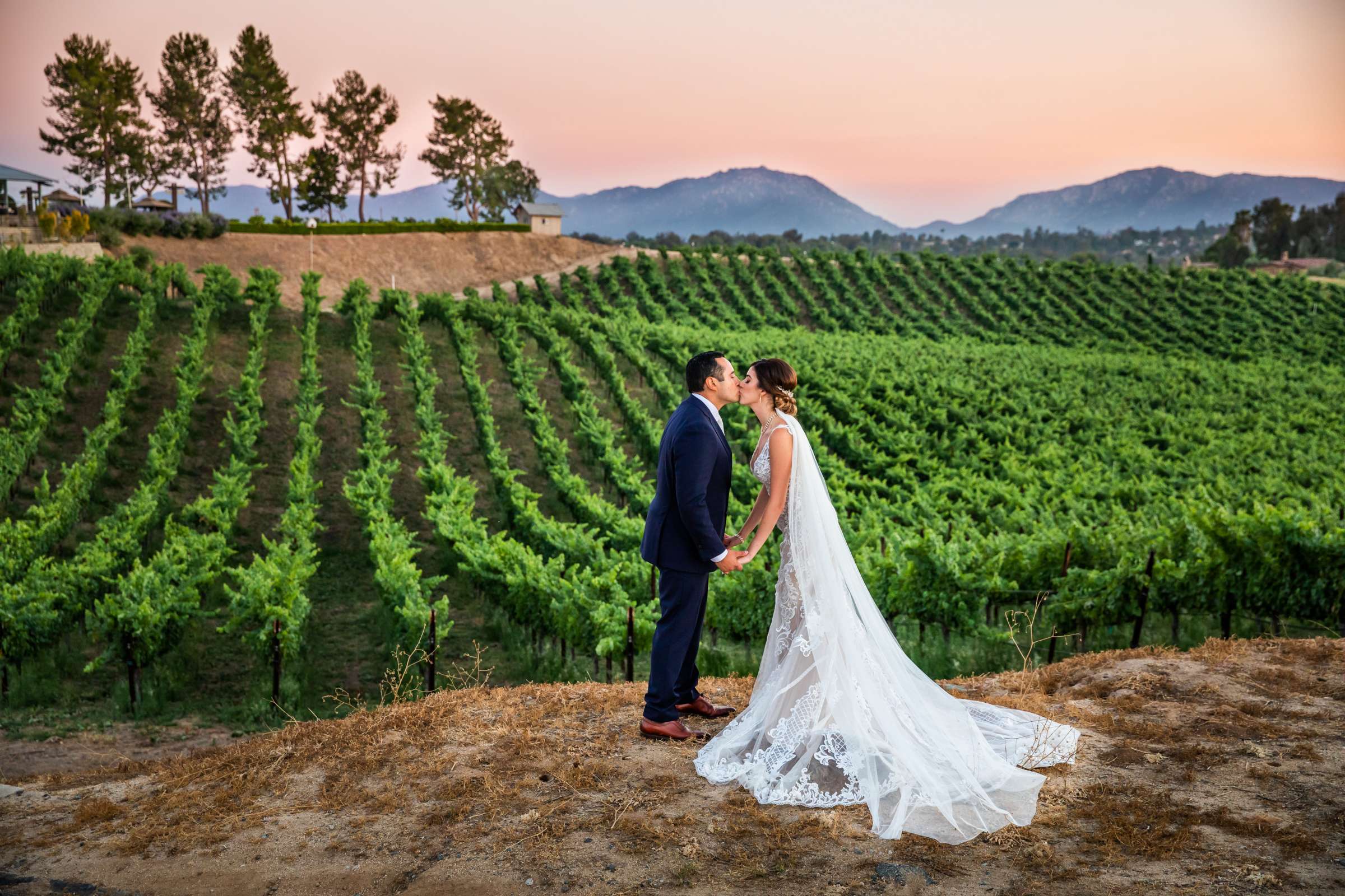 Winery at Callaway Vineyards & Winery Wedding coordinated by Michelle Garibay Events, Chelsea and Luis carlos Wedding Photo #1 by True Photography