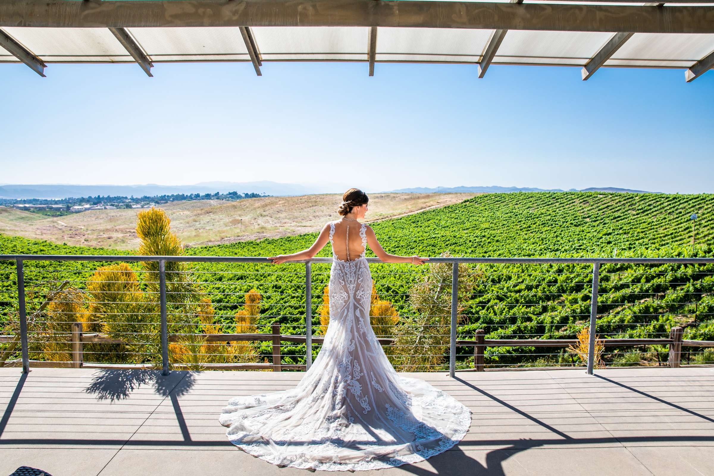 Winery at Callaway Vineyards & Winery Wedding coordinated by Michelle Garibay Events, Chelsea and Luis carlos Wedding Photo #12 by True Photography