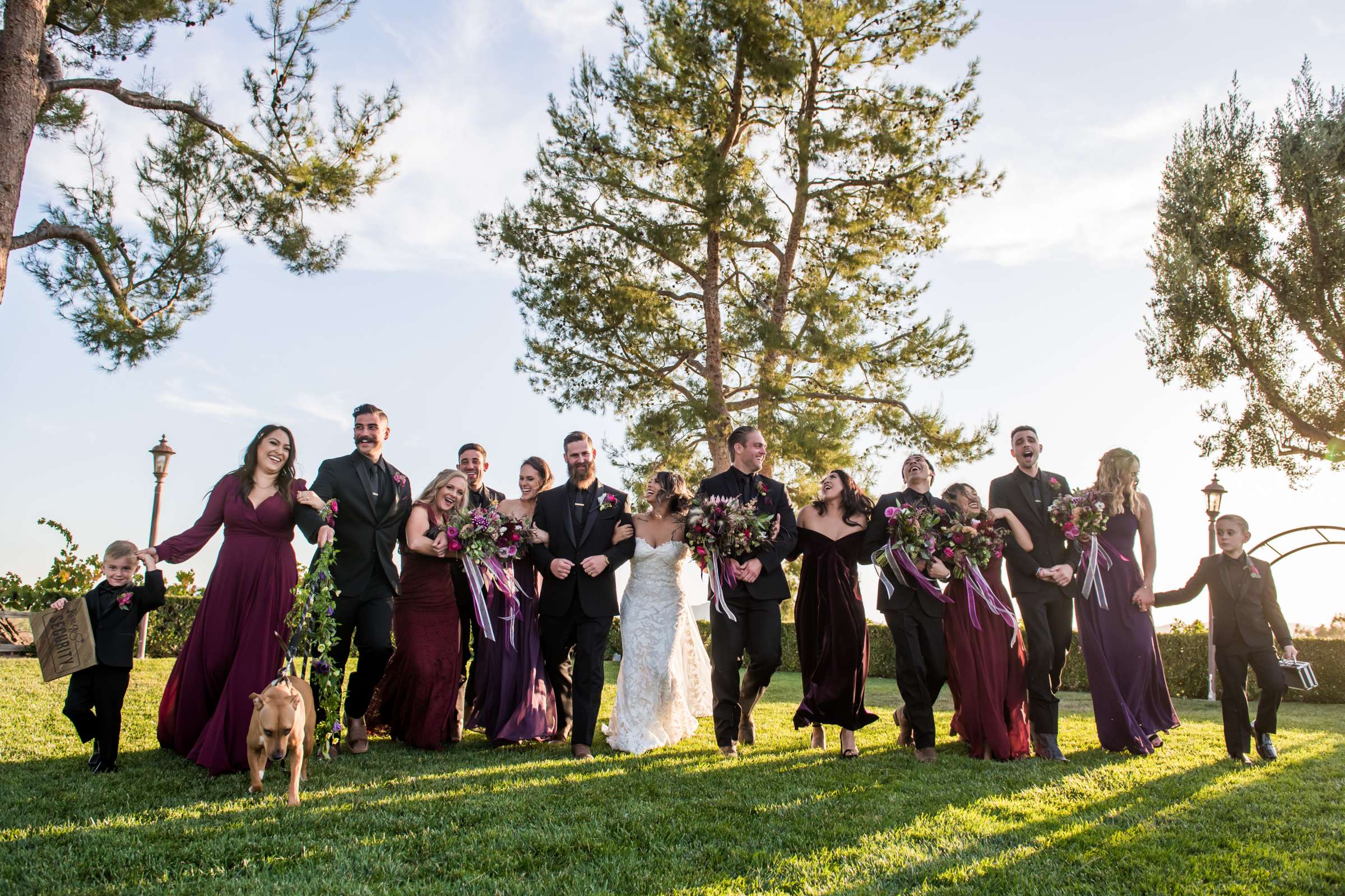 Callaway Vineyards & Winery Wedding, Kari and Andrew Wedding Photo #134 by True Photography