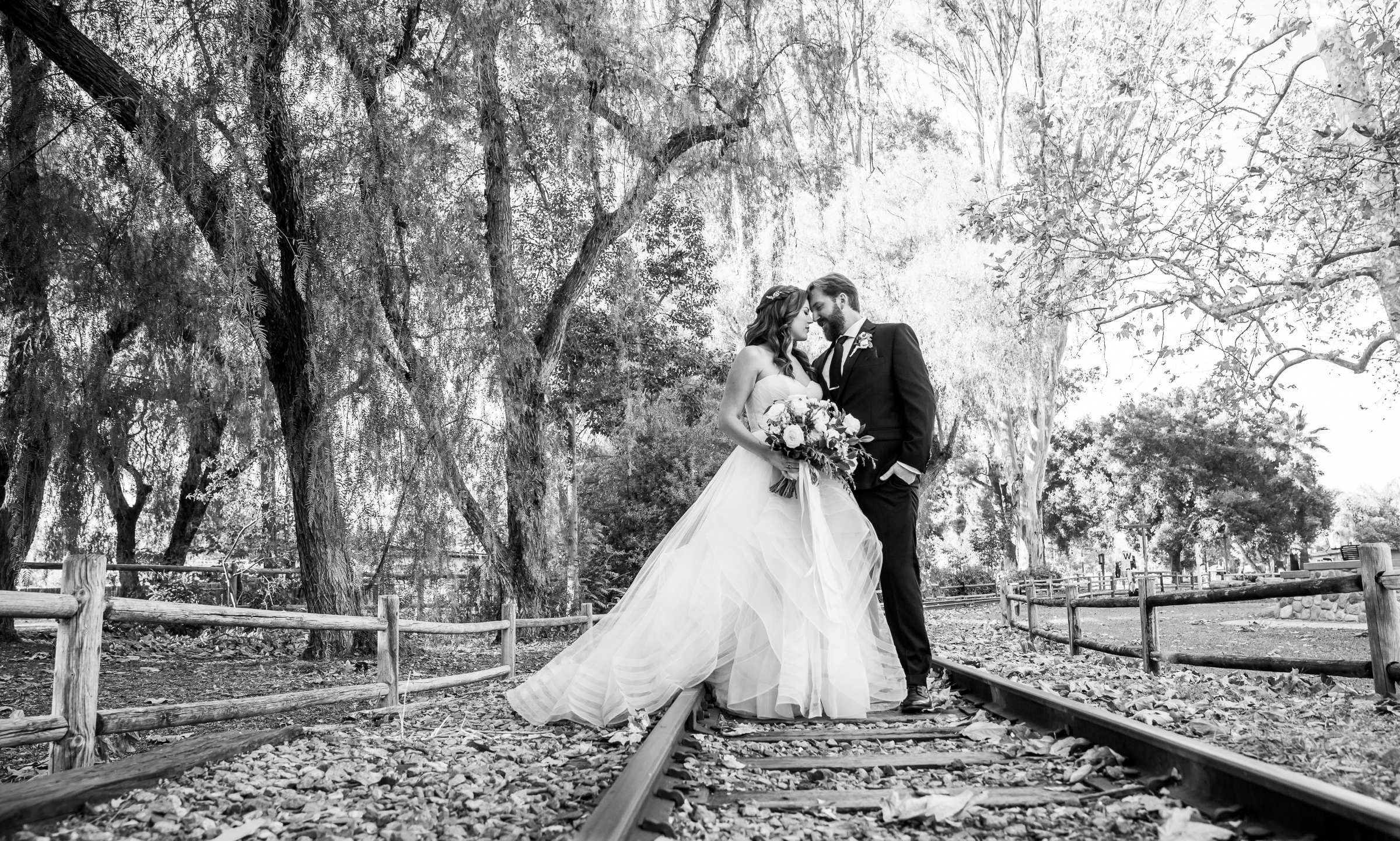 Wedding, Chliana and Chris Wedding Photo #89 by True Photography