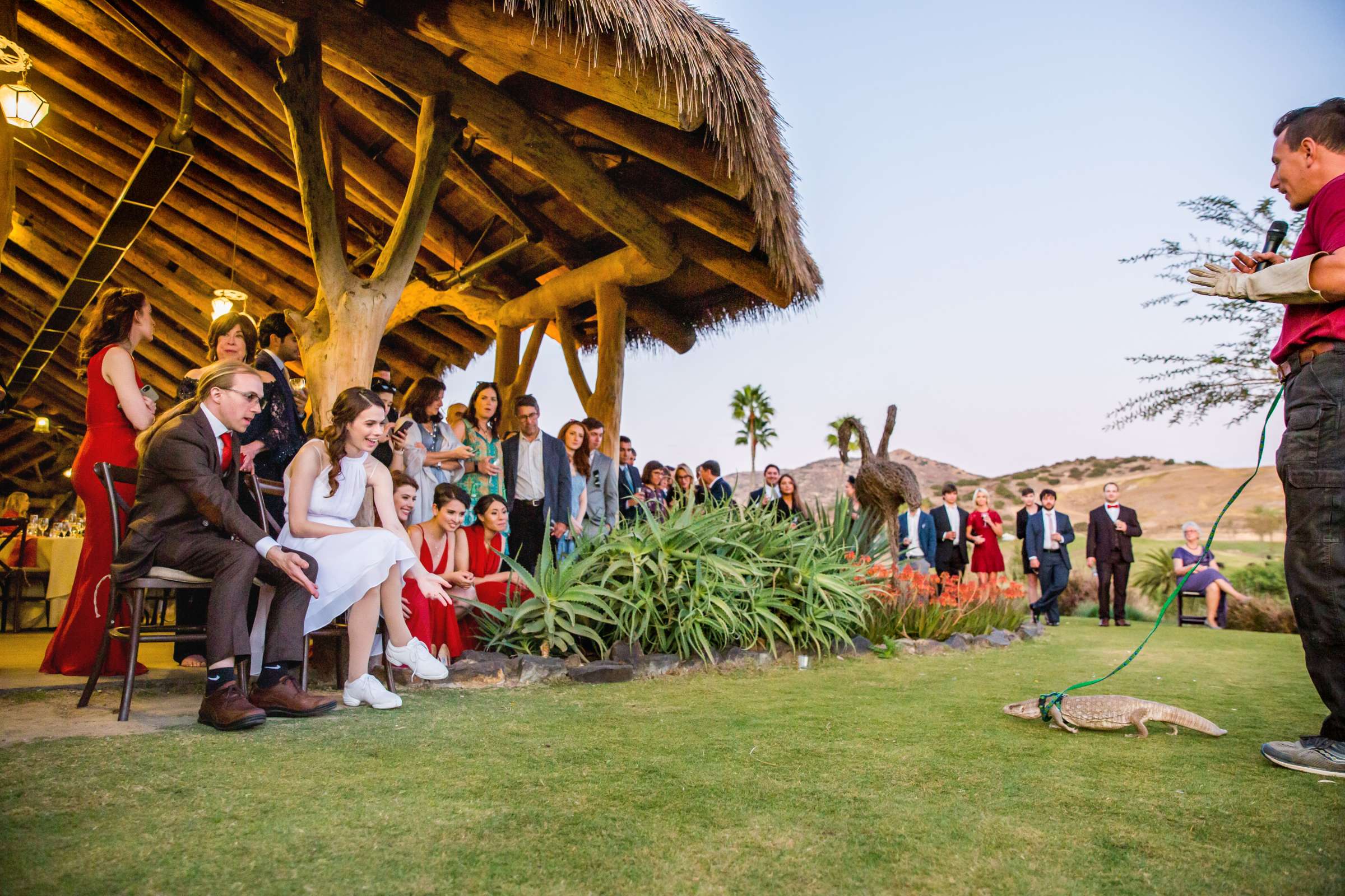 Safari Park Wedding coordinated by Always Flawless Productions, Lynx and Adam Wedding Photo #117 by True Photography