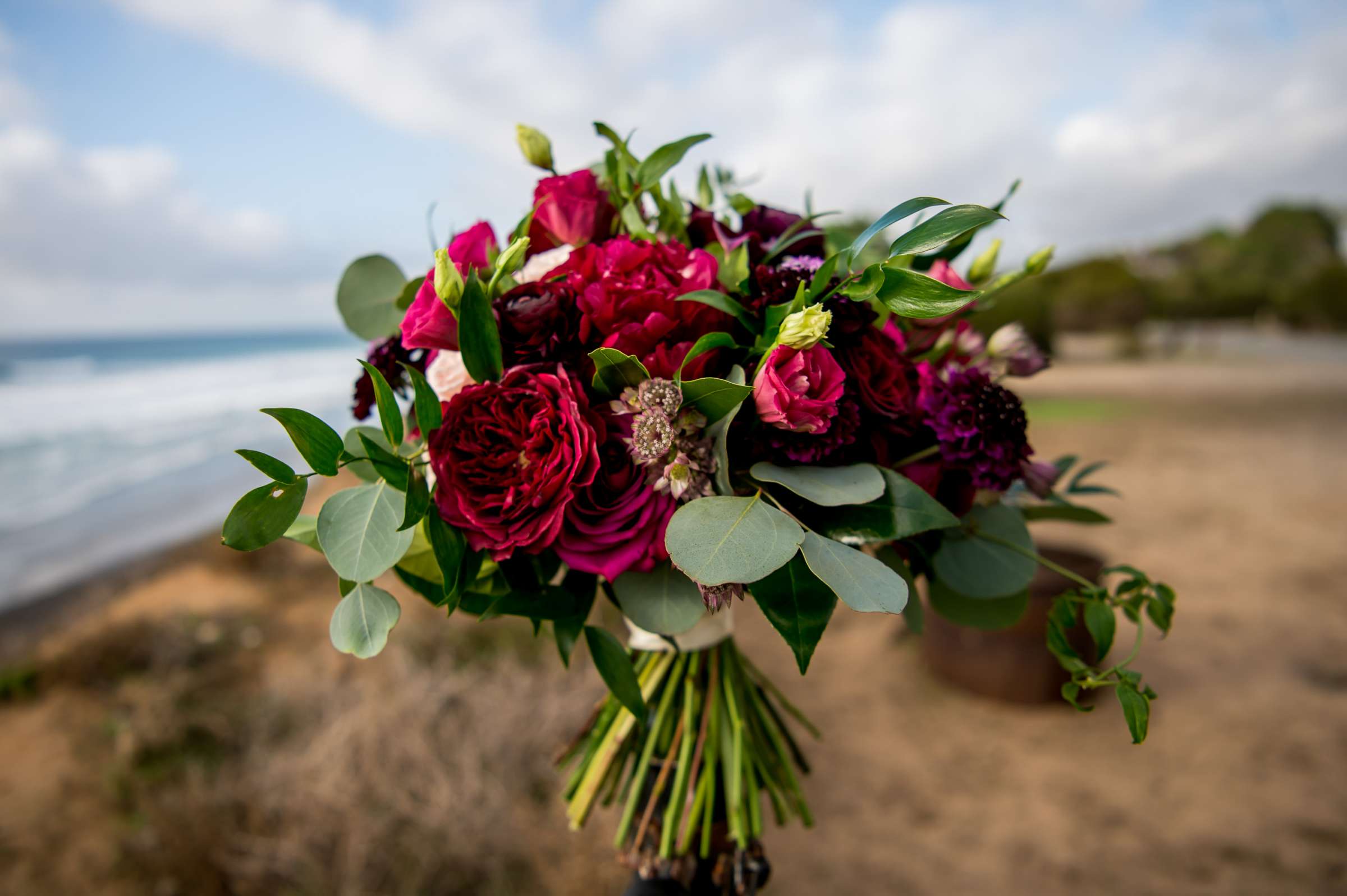 Cape Rey Wedding coordinated by Holly Kalkin Weddings, Jasmine and Kyle Wedding Photo #213 by True Photography