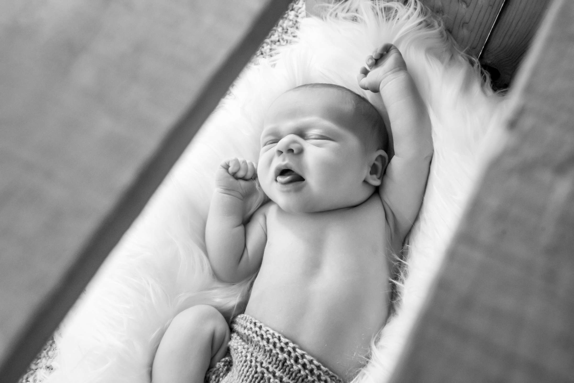 Newborn Photo Session, Madison and Chris Newborn Photo #4 by True Photography