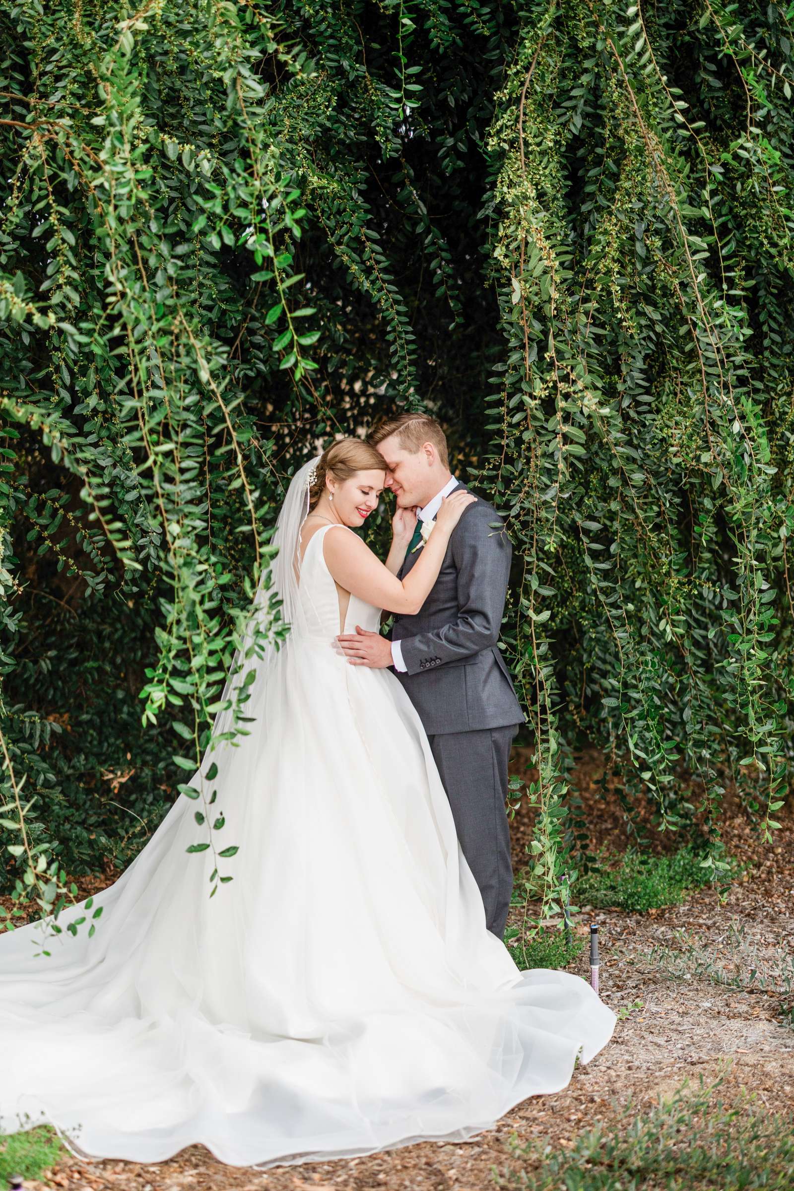 Canopy Grove Wedding, Images 4 Wedding Photo #714195 by True Photography