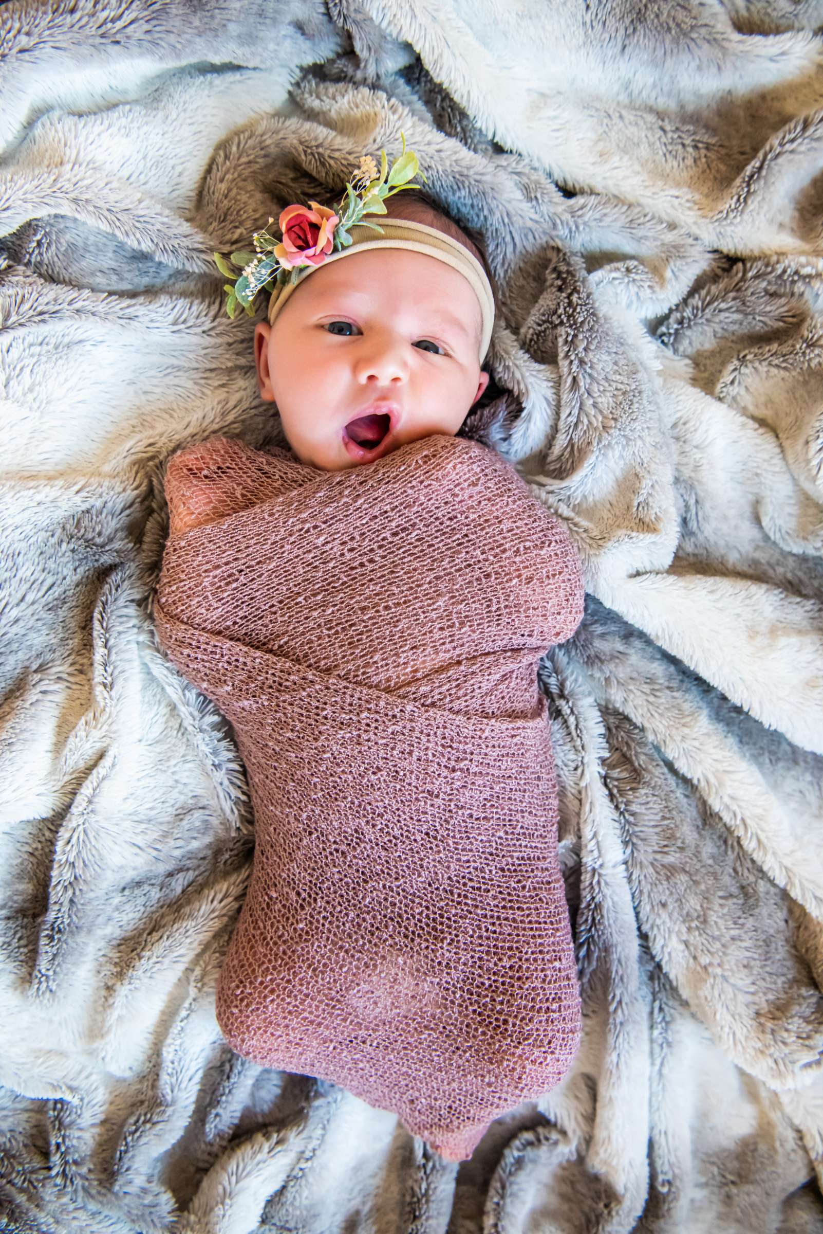 Newborn Photo Session, Emily and Rafael Newborn Photo #8 by True Photography