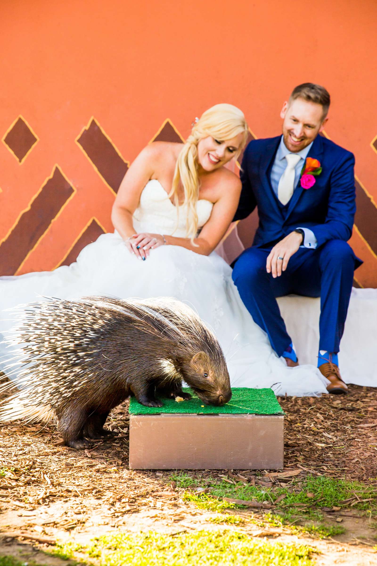 Safari Park Wedding, Madison and Christopher Wedding Photo #83 by True Photography